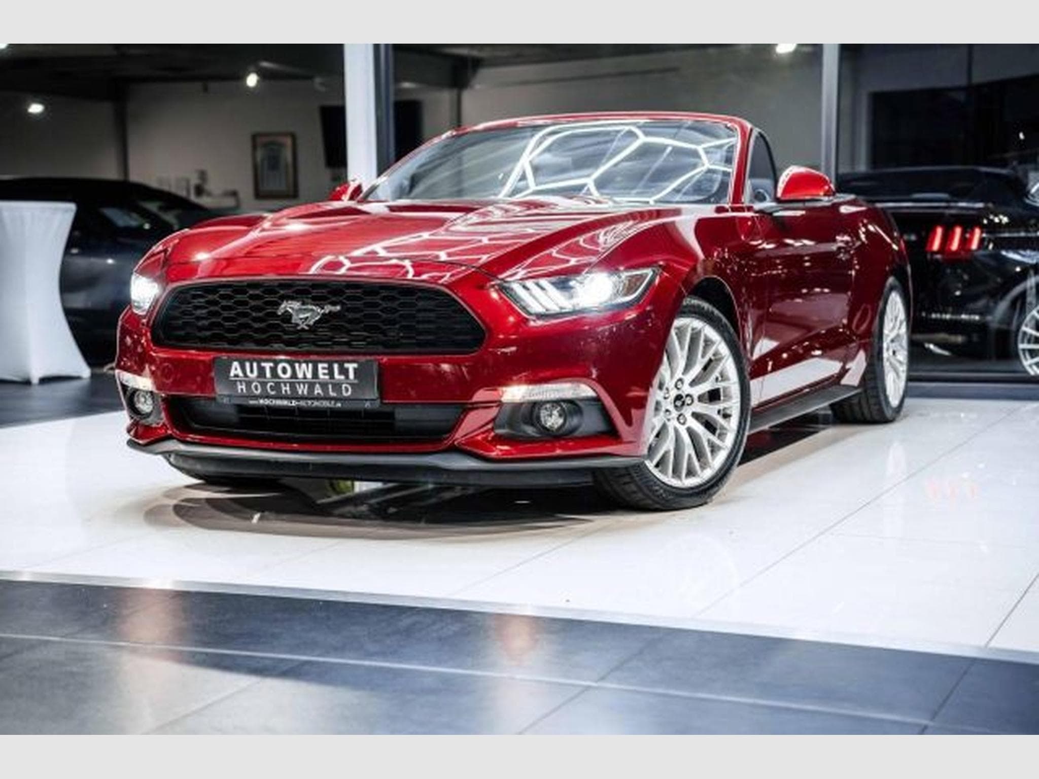 Ford Mustang Mustang Convertible 2.3 NAVI *DEU* Kamera XENON (2016) - Photo 2