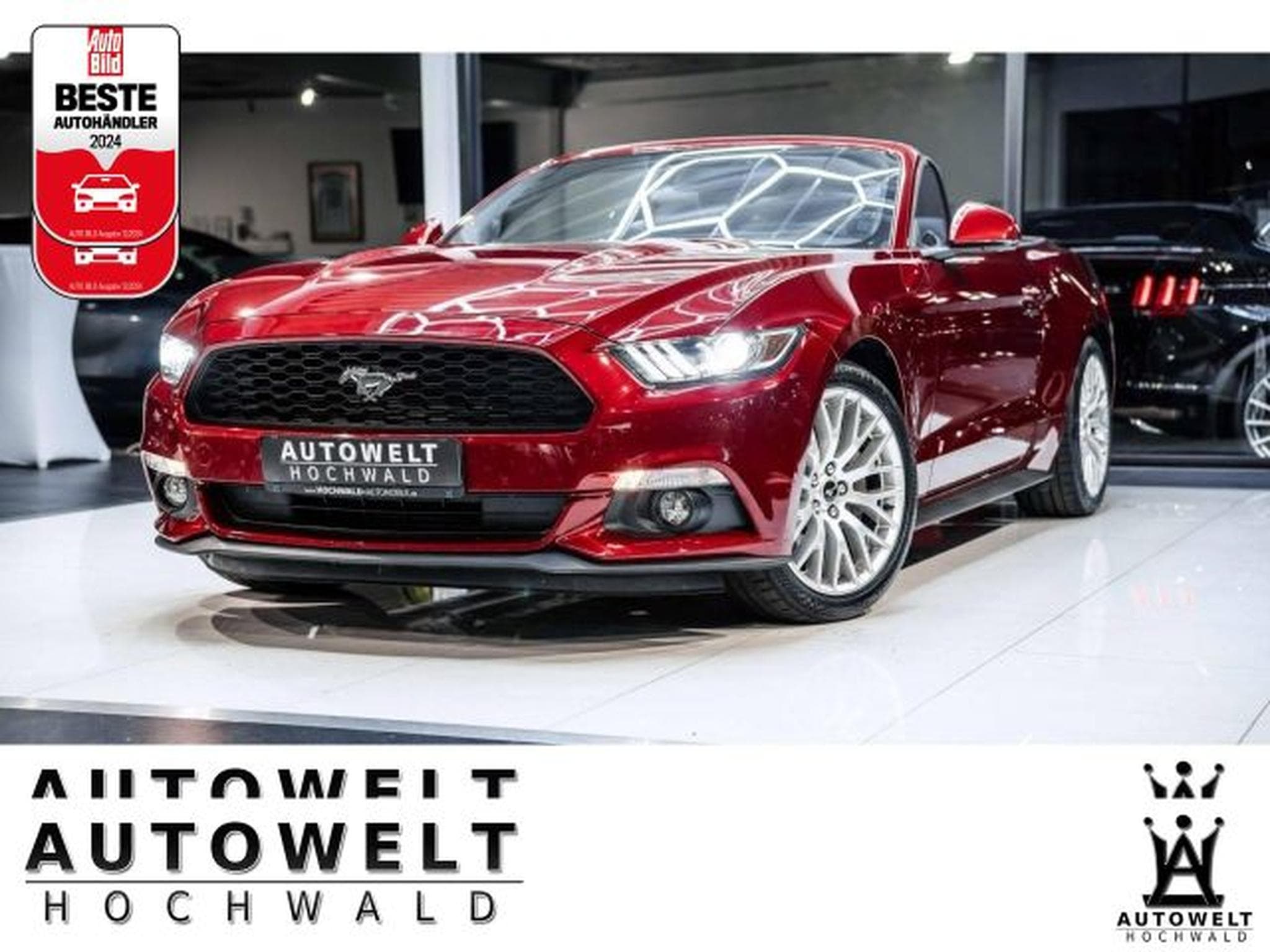 Ford Mustang Mustang Convertible 2.3 NAVI *DEU* Kamera XENON (2016) - Photo 1