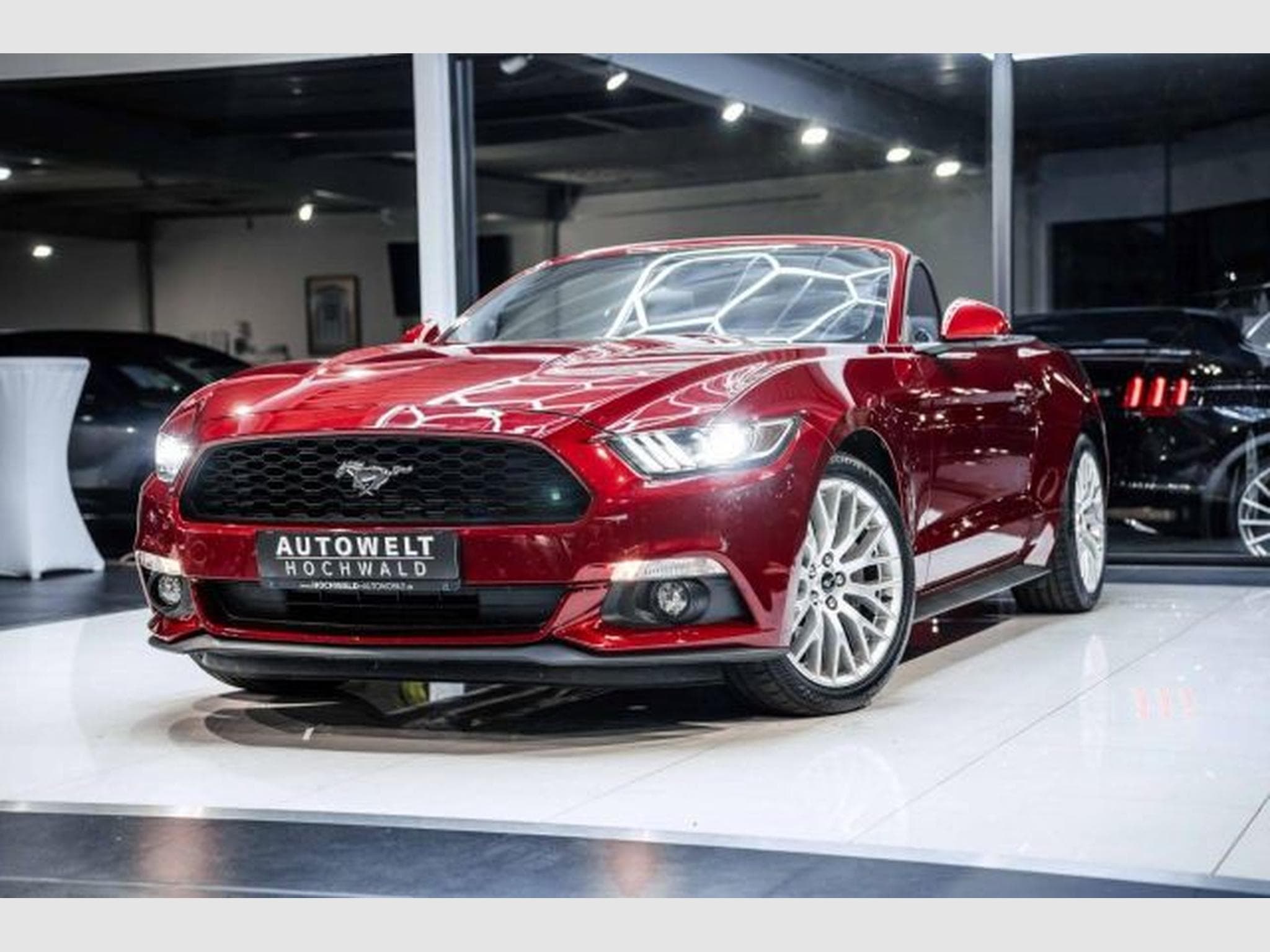 Ford Mustang Mustang Convertible 2.3 NAVI *DEU* Kamera XENON (2016) - Photo 3