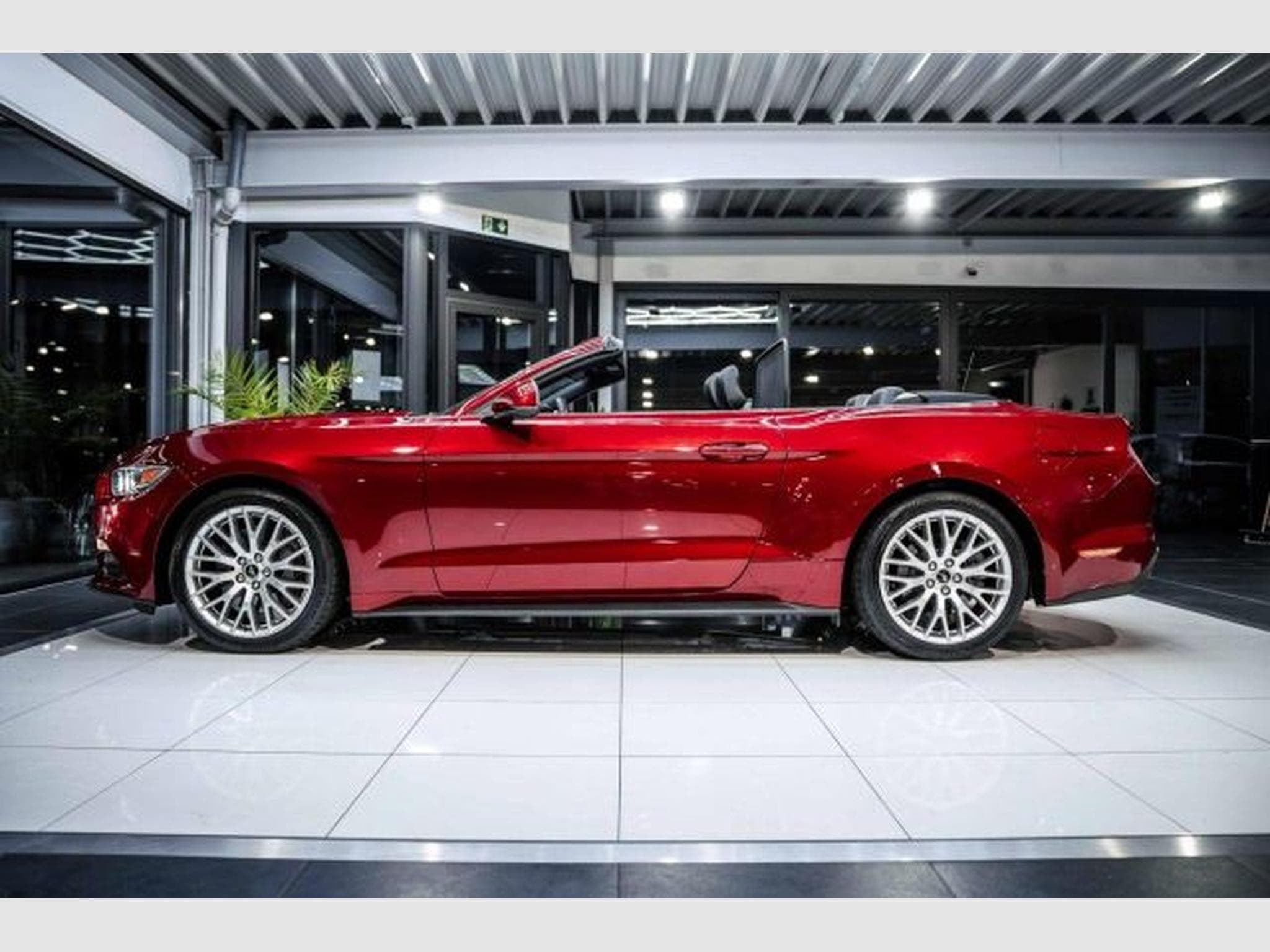 Ford Mustang Mustang Convertible 2.3 NAVI *DEU* Kamera XENON (2016) - Photo 11