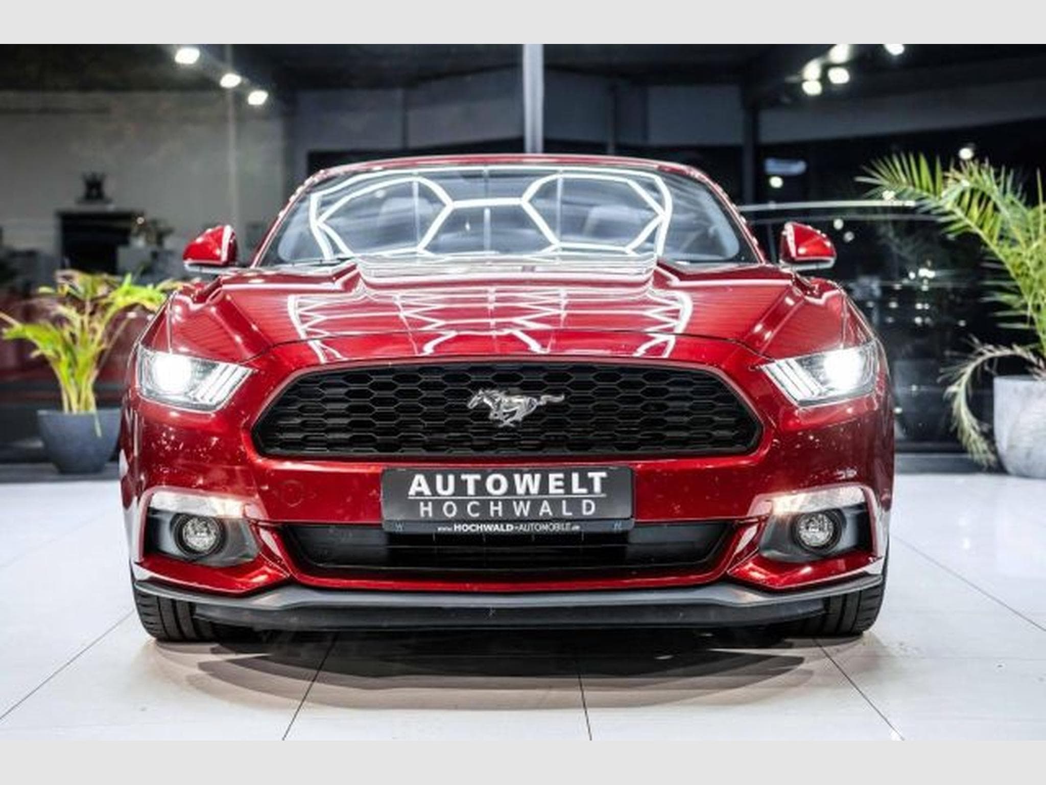 Ford Mustang Mustang Convertible 2.3 NAVI *DEU* Kamera XENON (2016) - Photo 6