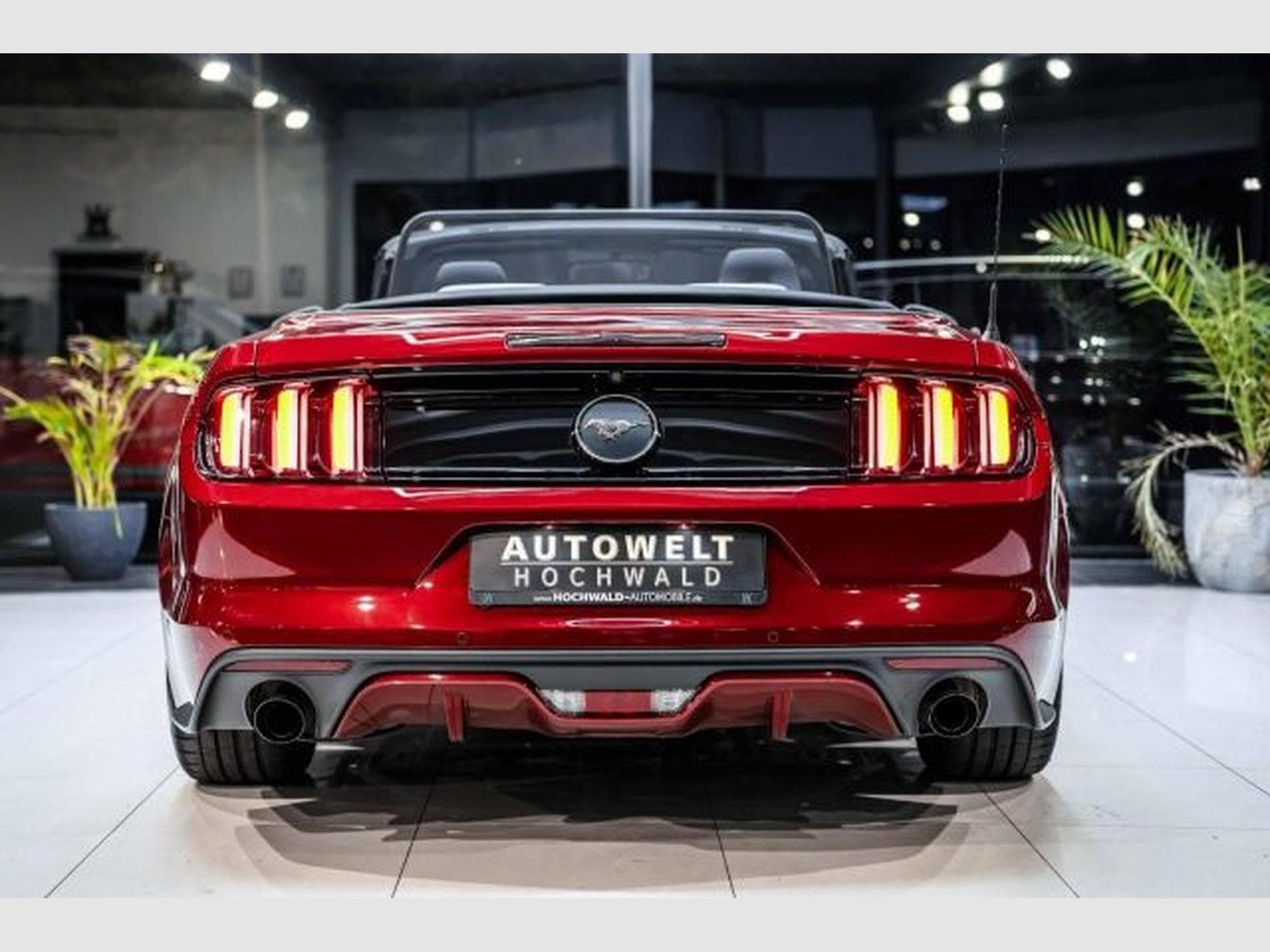 Ford Mustang Mustang Convertible 2.3 NAVI *DEU* Kamera XENON (2016) - Photo 13