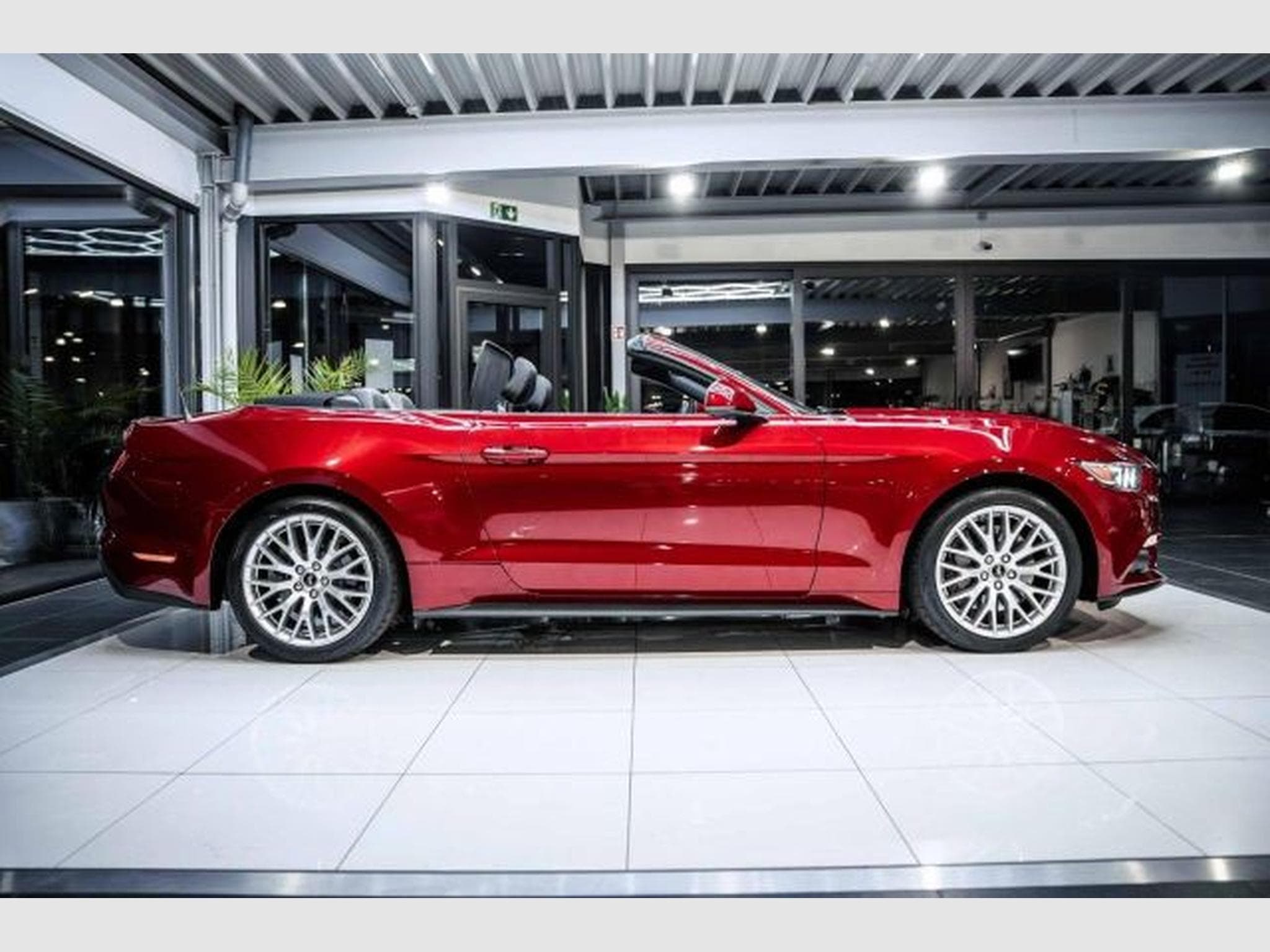 Ford Mustang Mustang Convertible 2.3 NAVI *DEU* Kamera XENON (2016) - Photo 8