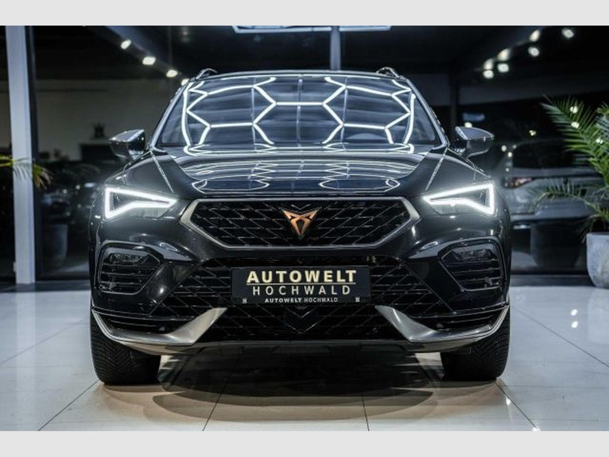 Cupra Ateca Ateca VZ 2.0 TSI DSG 4Drive NAVI 360 LED CarPlay (2024) - Foto 6