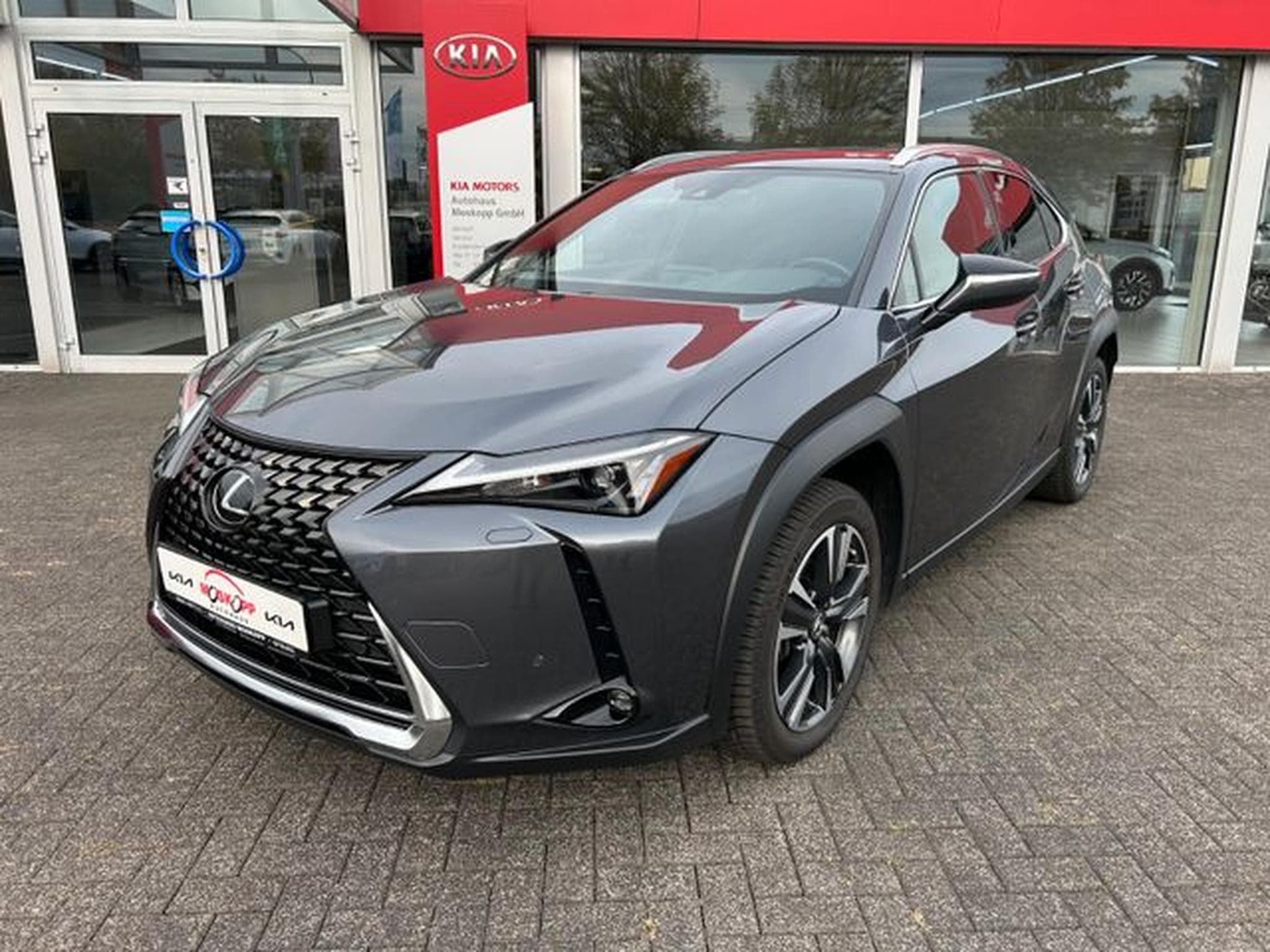 Lexus UX UX 250h Style Edition Navi Kamera (2023) - Photo 3