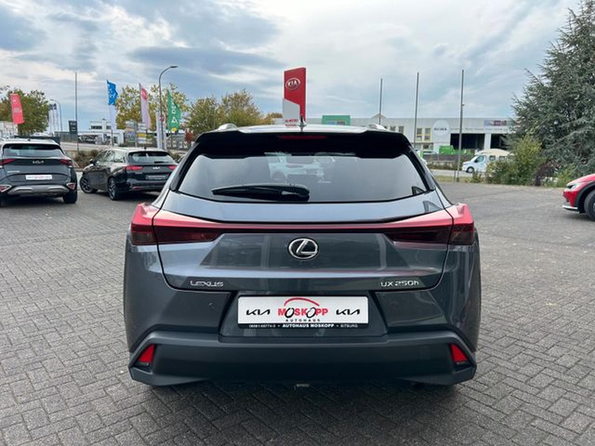 Lexus UX UX 250h Style Edition Navi Kamera (2023) - Photo 6