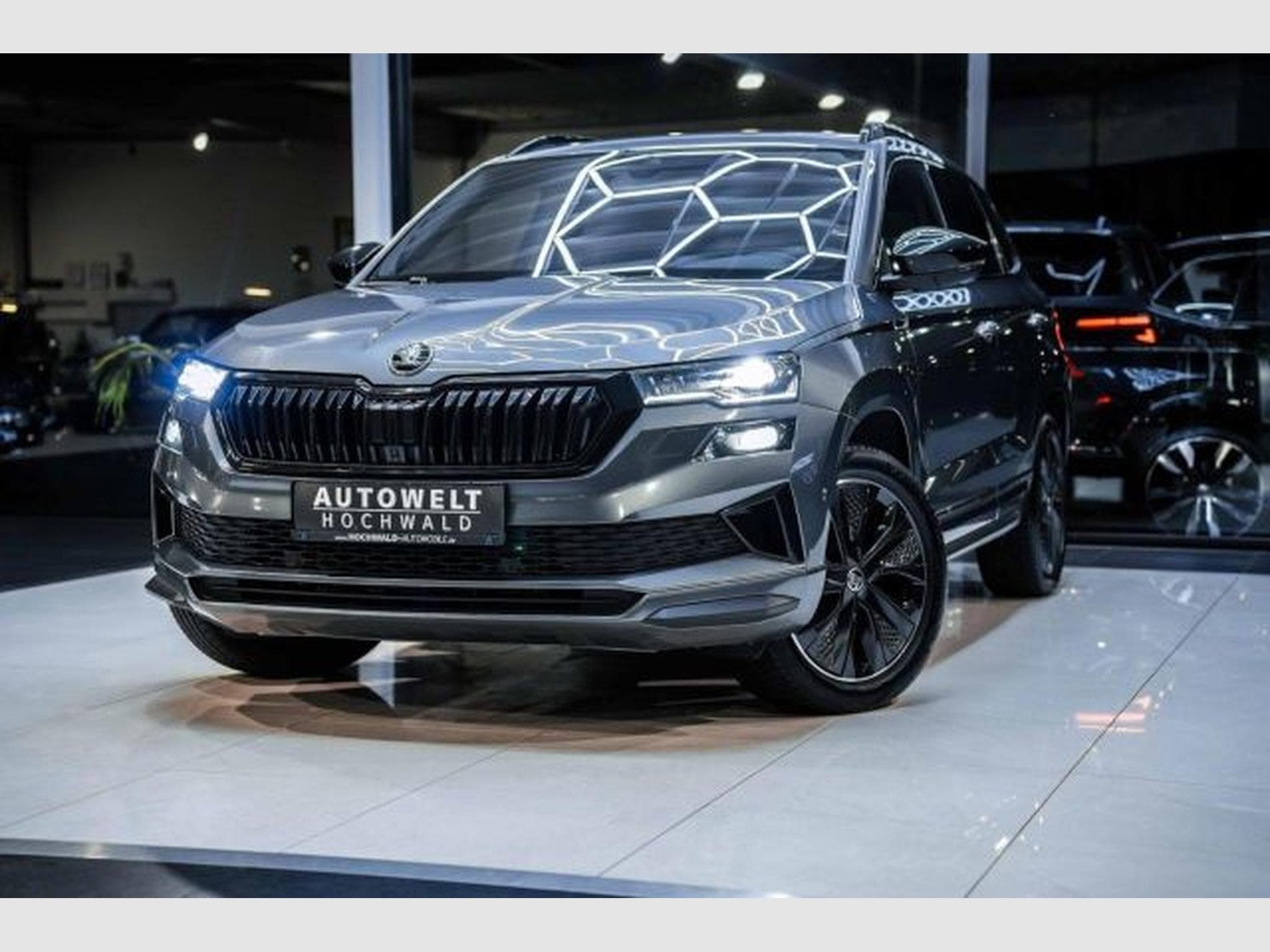 Skoda Karoq Karoq 2.0 TDI DSG Sportline NAVI 4x4 AHK STAHZG (2023) - Photo 2