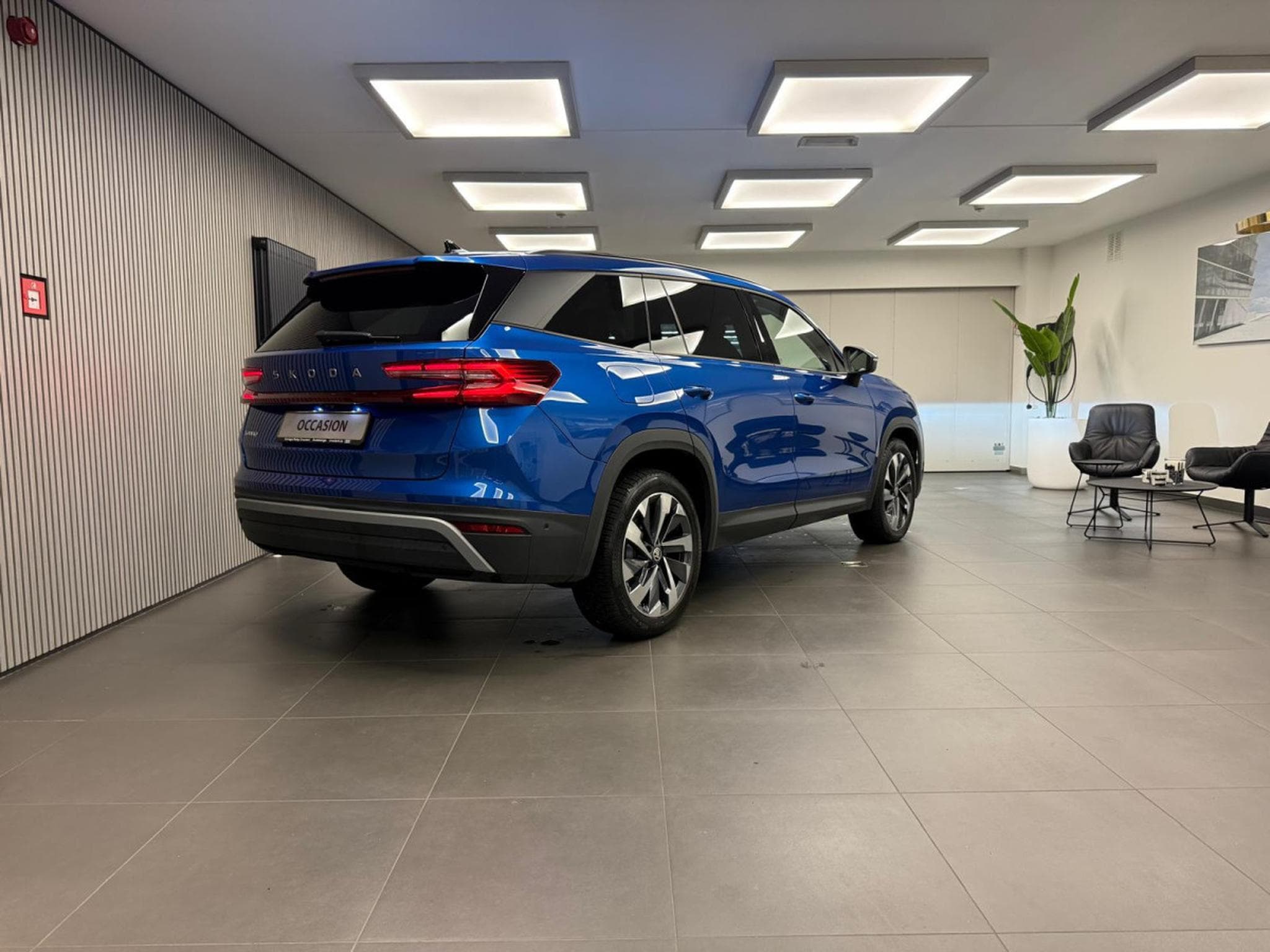 Skoda Kodiaq Selection 1.5 TSI mHEV  150 CV / 110kW DSG7 (2024) - Photo 7