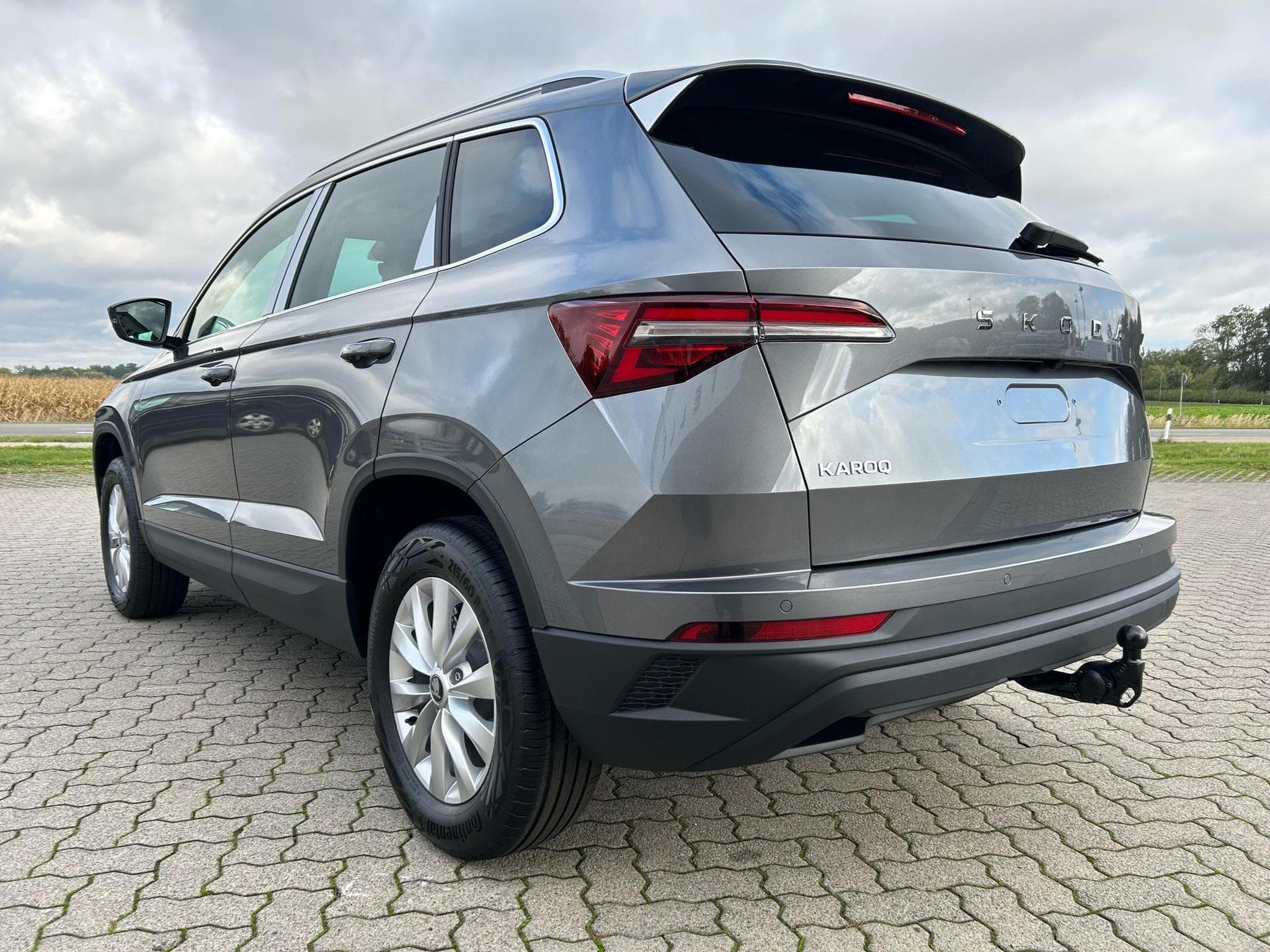 Skoda Karoq Selection (2026) - Foto 17