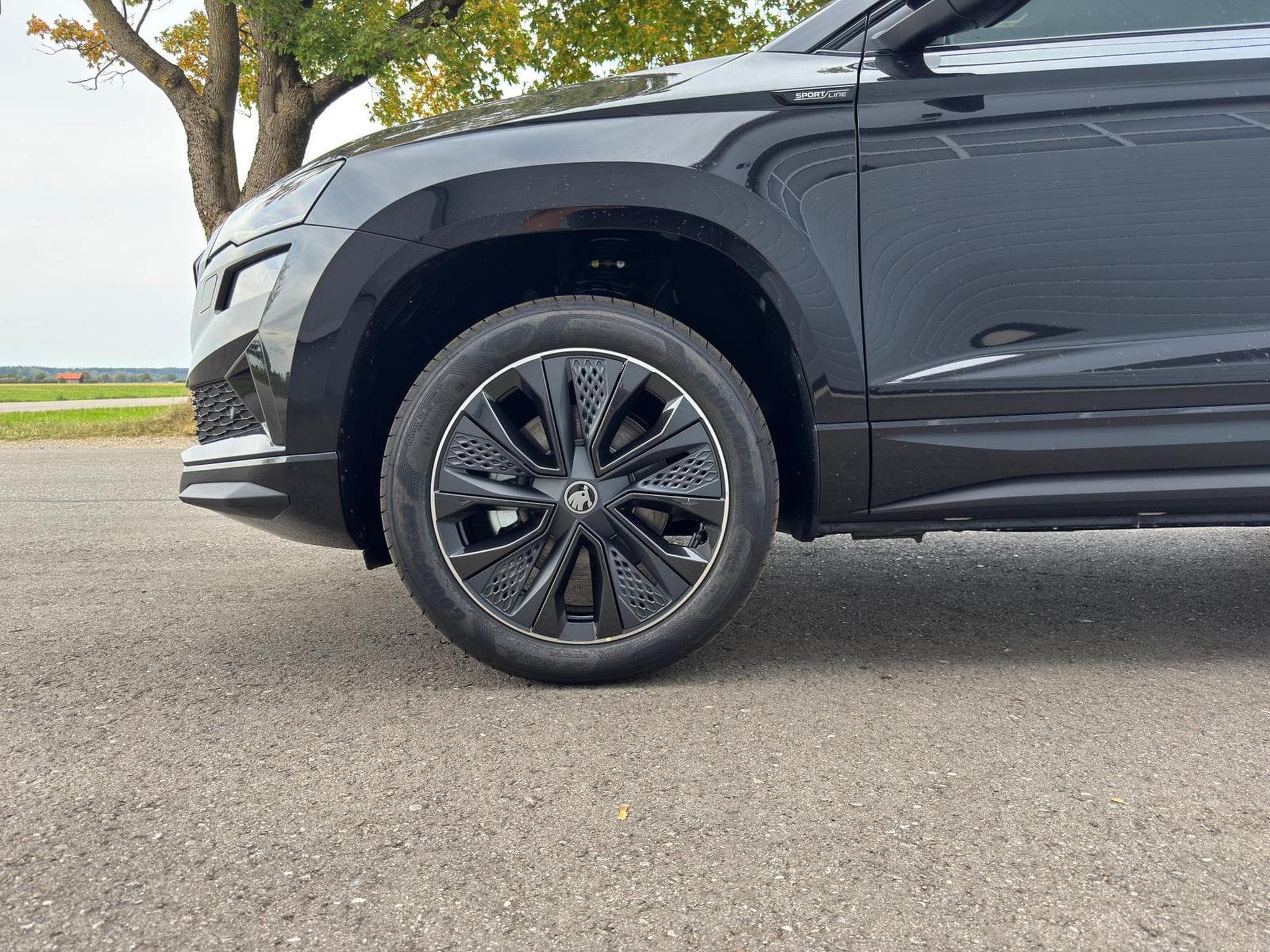 Skoda Karoq Sportline (2026) - Foto 12