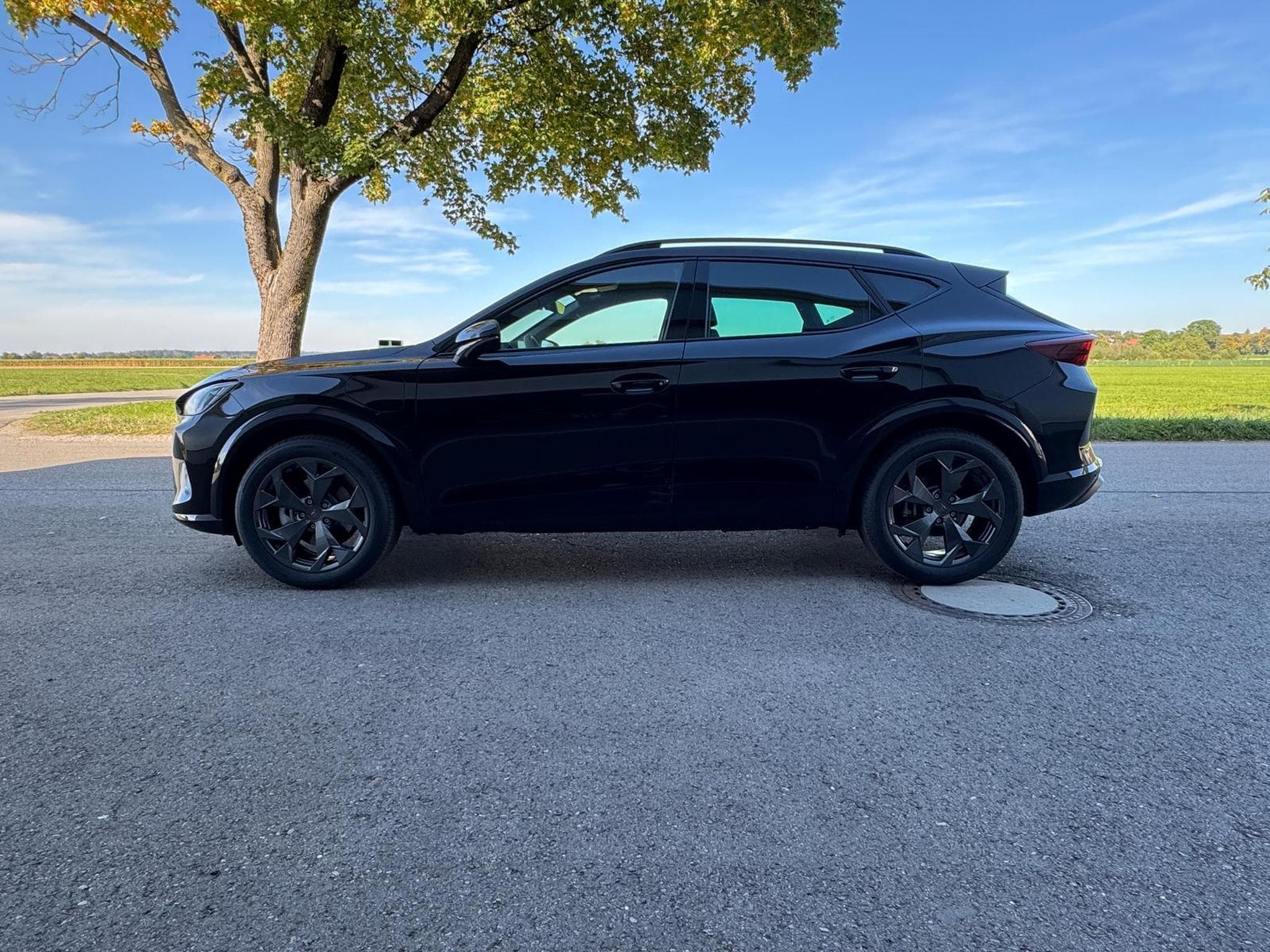 Cupra Formentor 1.5 TSI e-Hybrid 150 kW (2026) - Foto 11