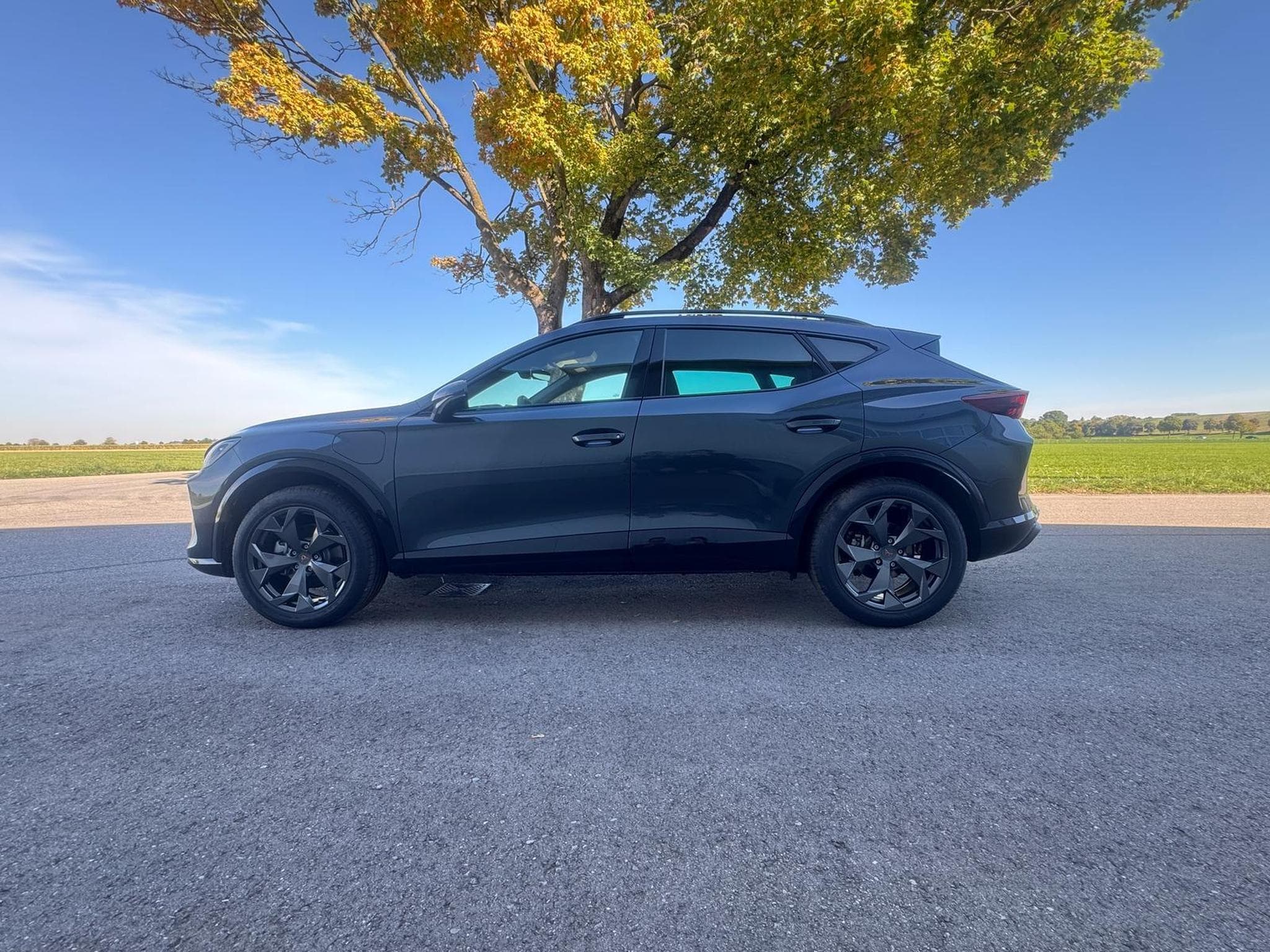 Cupra Formentor 1.5 TSI e-Hybrid 150 kW (2026) - Foto 11