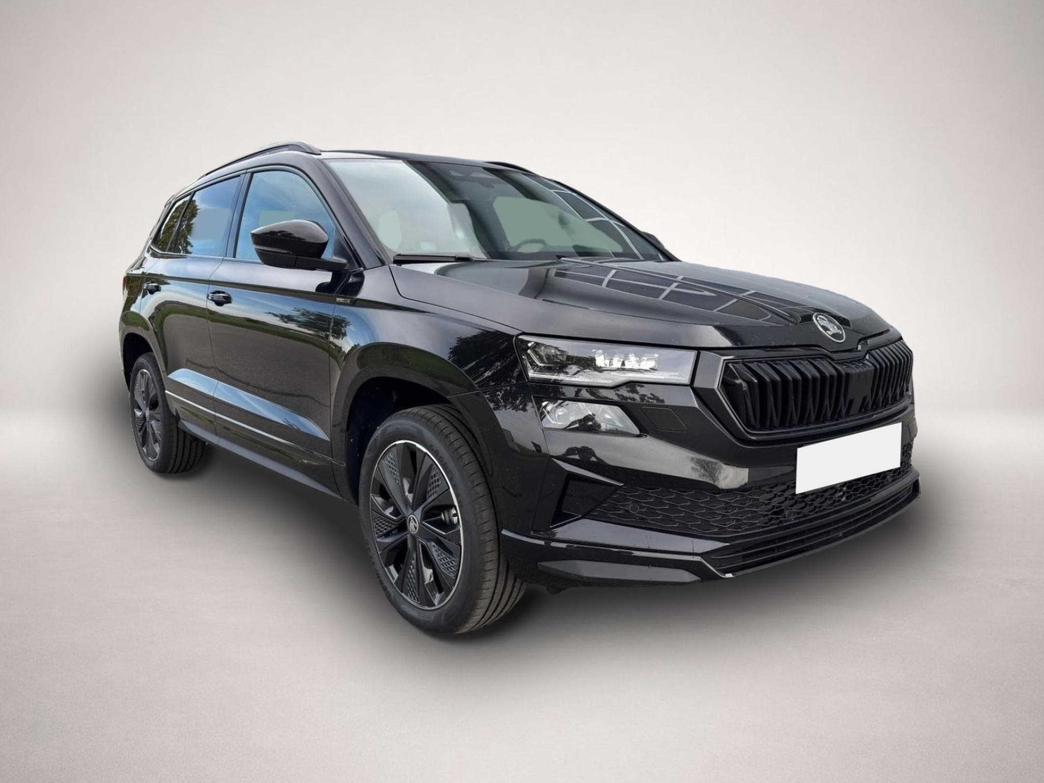 Skoda Karoq (2026) - Photo 3