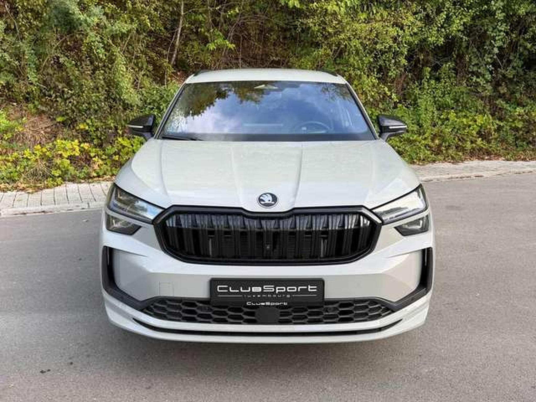 Skoda Kodiaq Kodiaq 2.0 TDI DSG Sportline (2026) - Photo 2