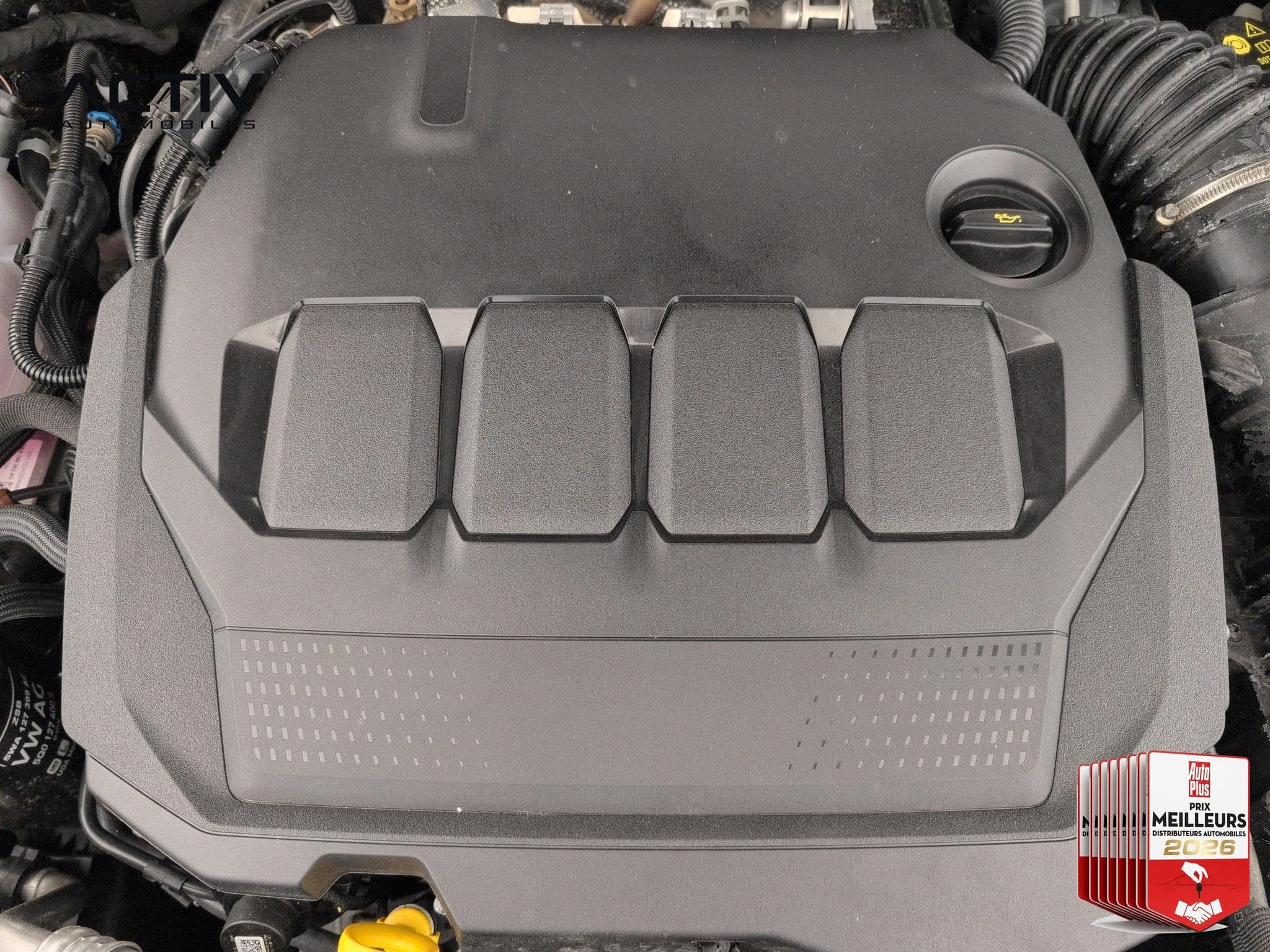 VW Passat 2.0 TDI EVO SCR 122 DSG7 Life Plus (2025) - Foto 32