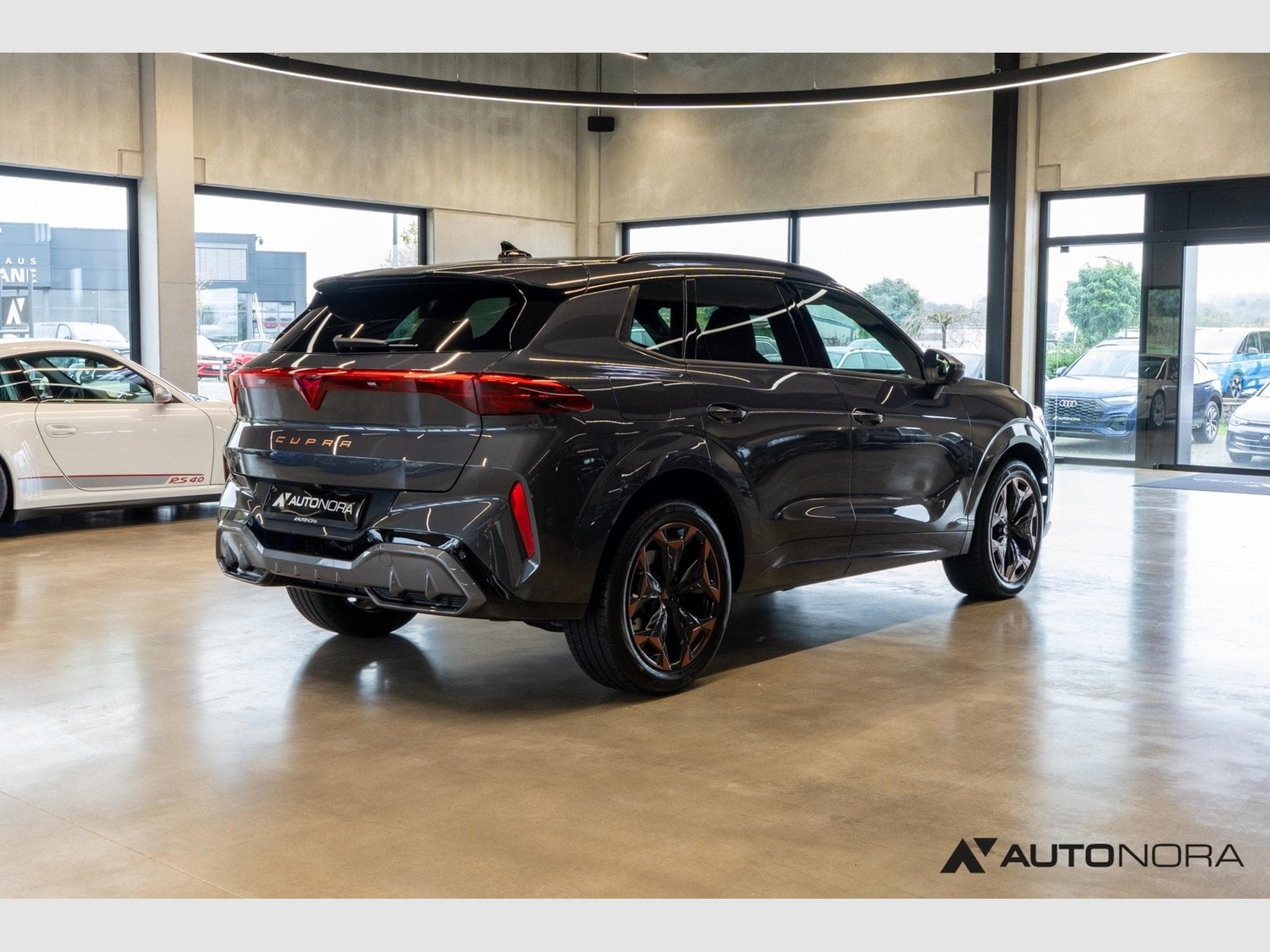 Cupra Terramar 2.0 TSI VZ 4Drive (2025) - Photo 4