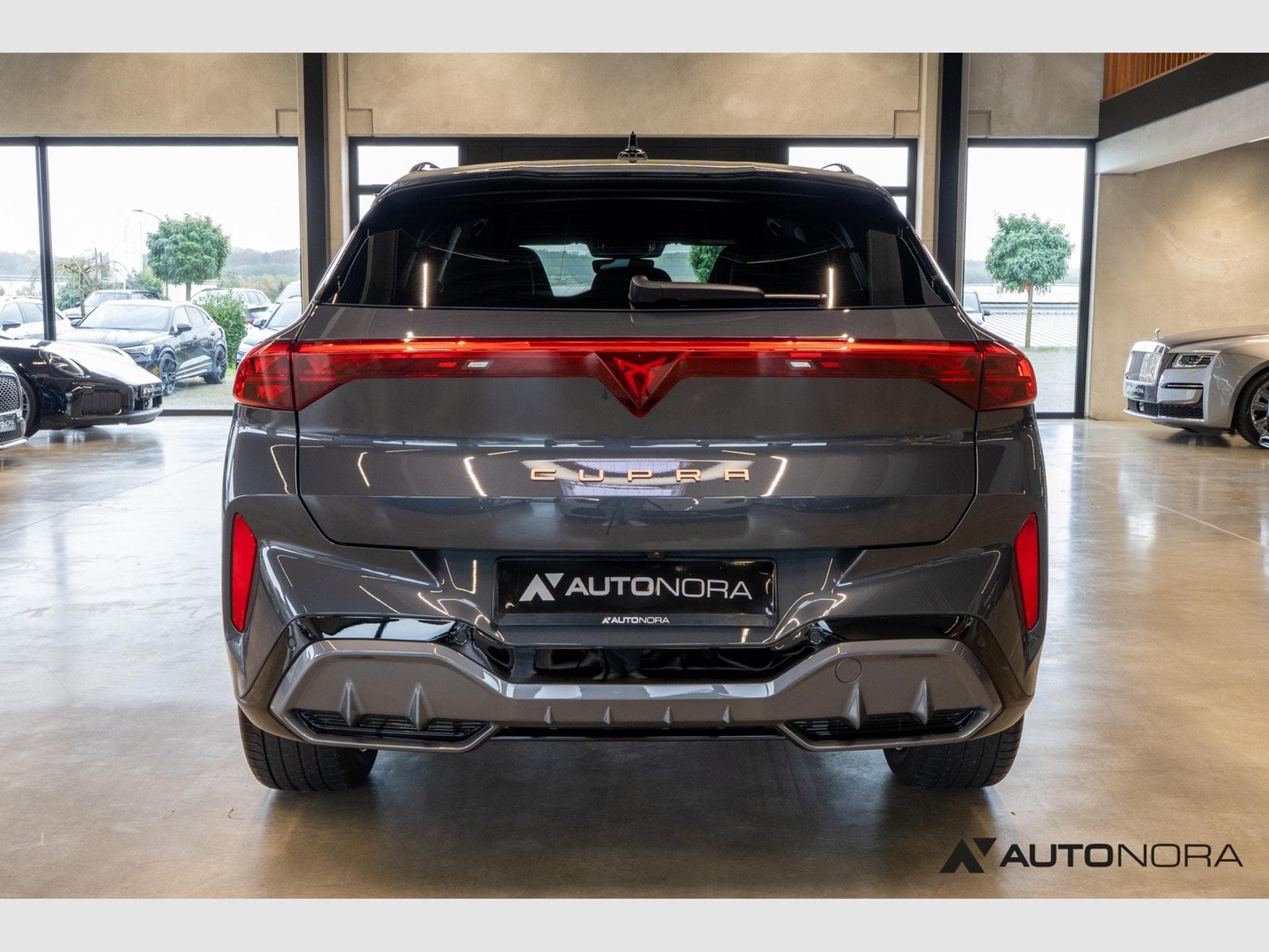 Cupra Terramar 2.0 TSI VZ 4Drive (2025) - Photo 9