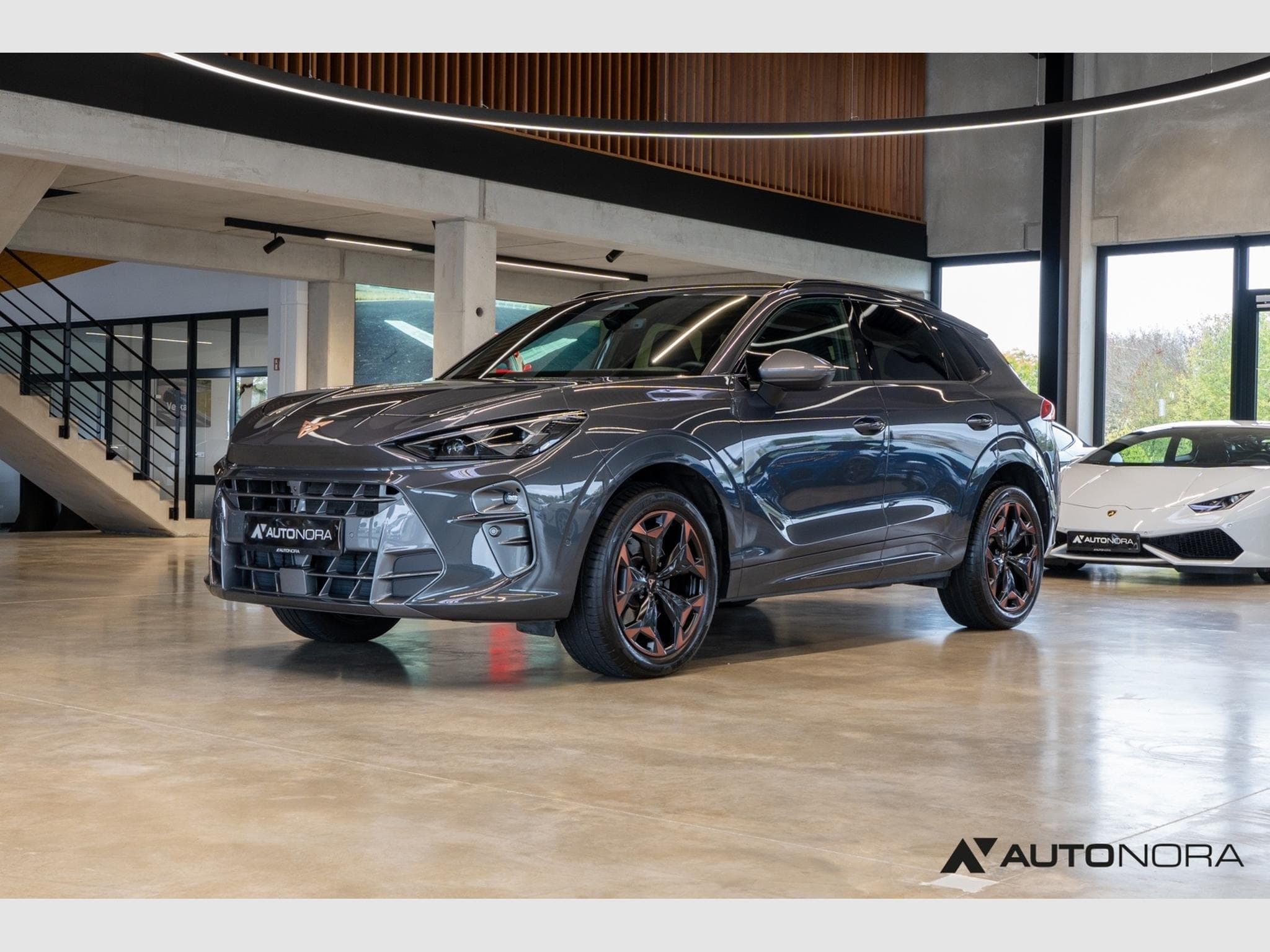 Cupra Terramar 2.0 TSI VZ 4Drive (2025) - Photo 6