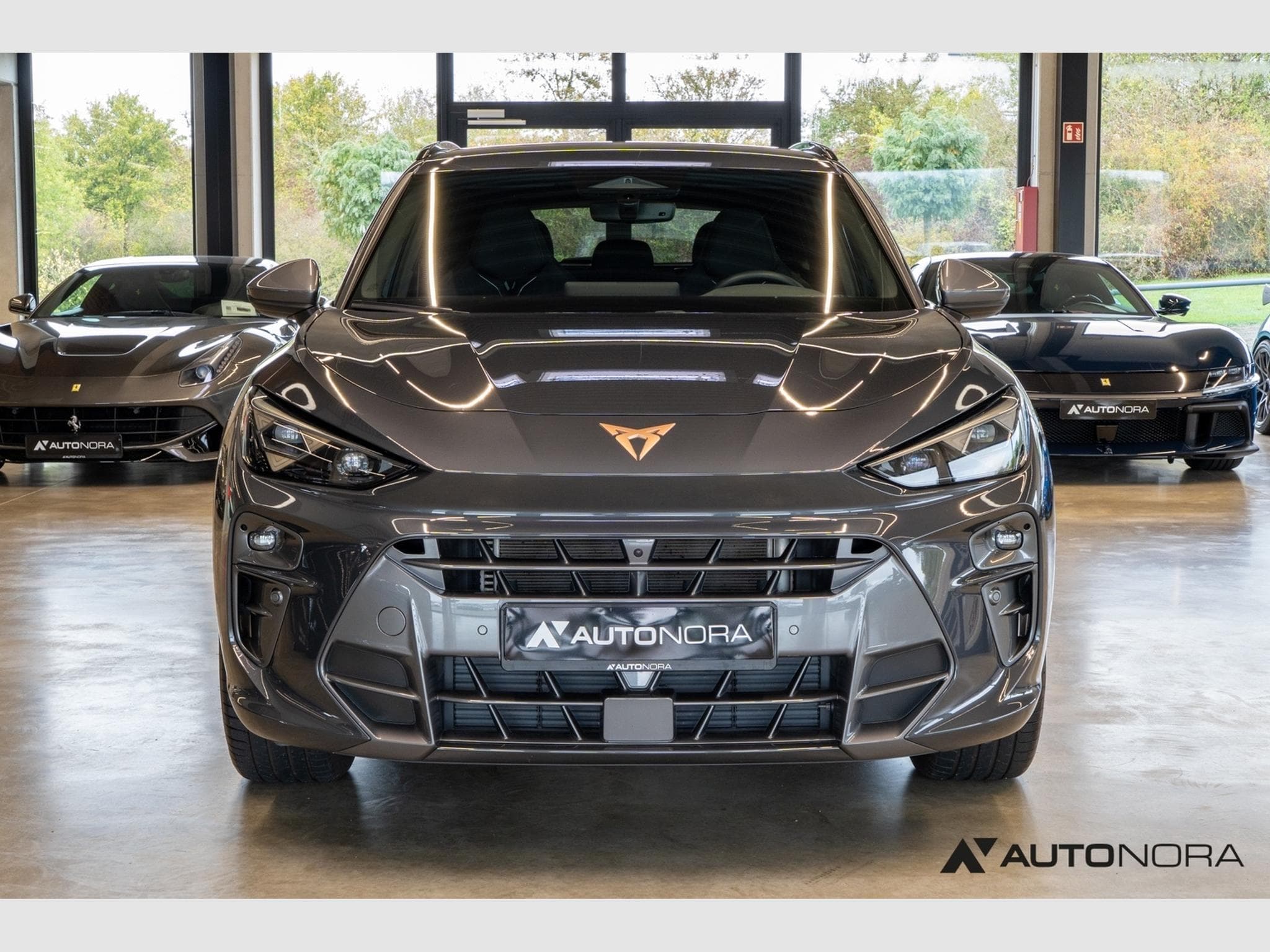 Cupra Terramar 2.0 TSI VZ 4Drive (2025) - Photo 5