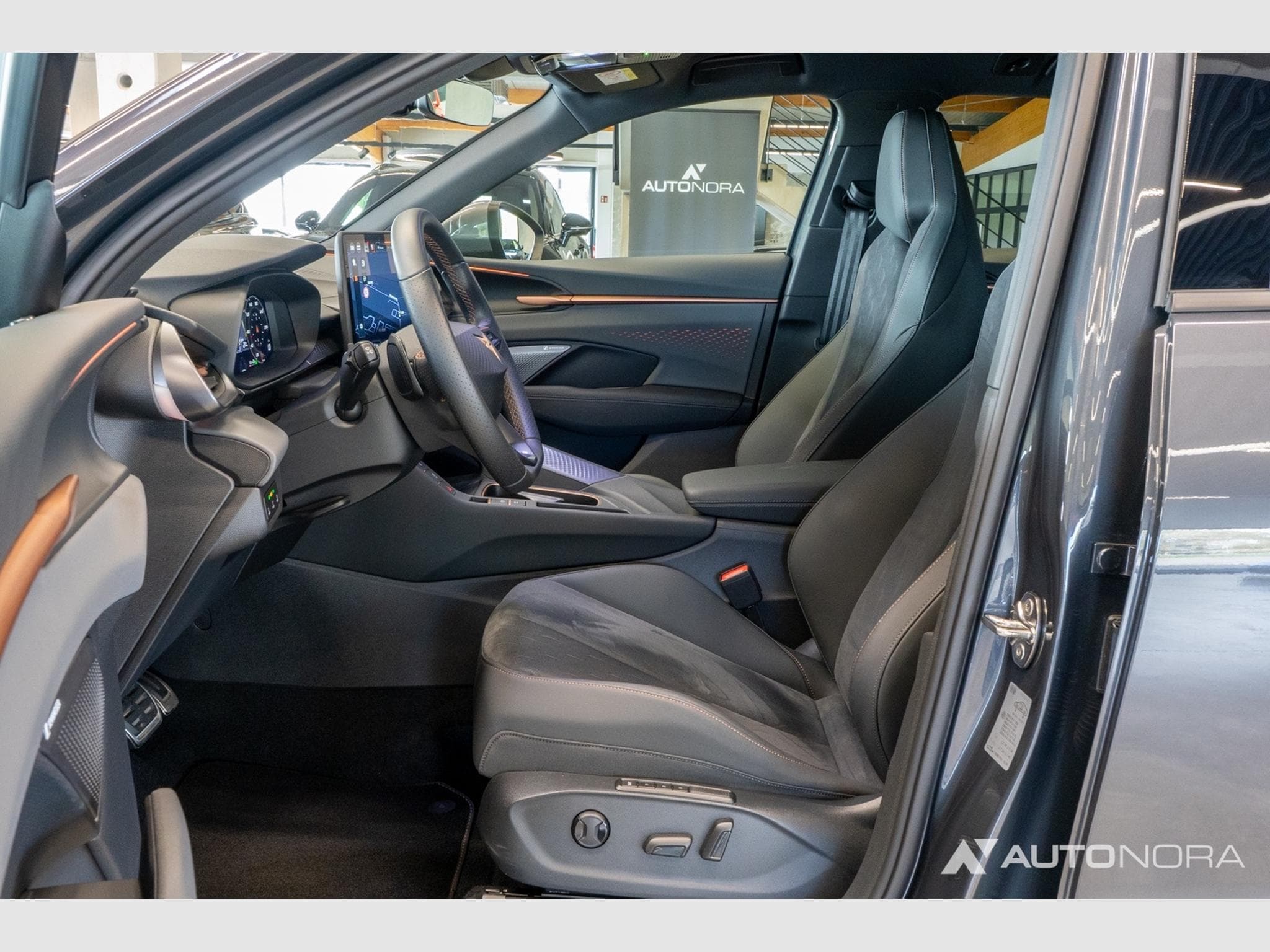 Cupra Terramar 2.0 TSI VZ 4Drive (2025) - Photo 11