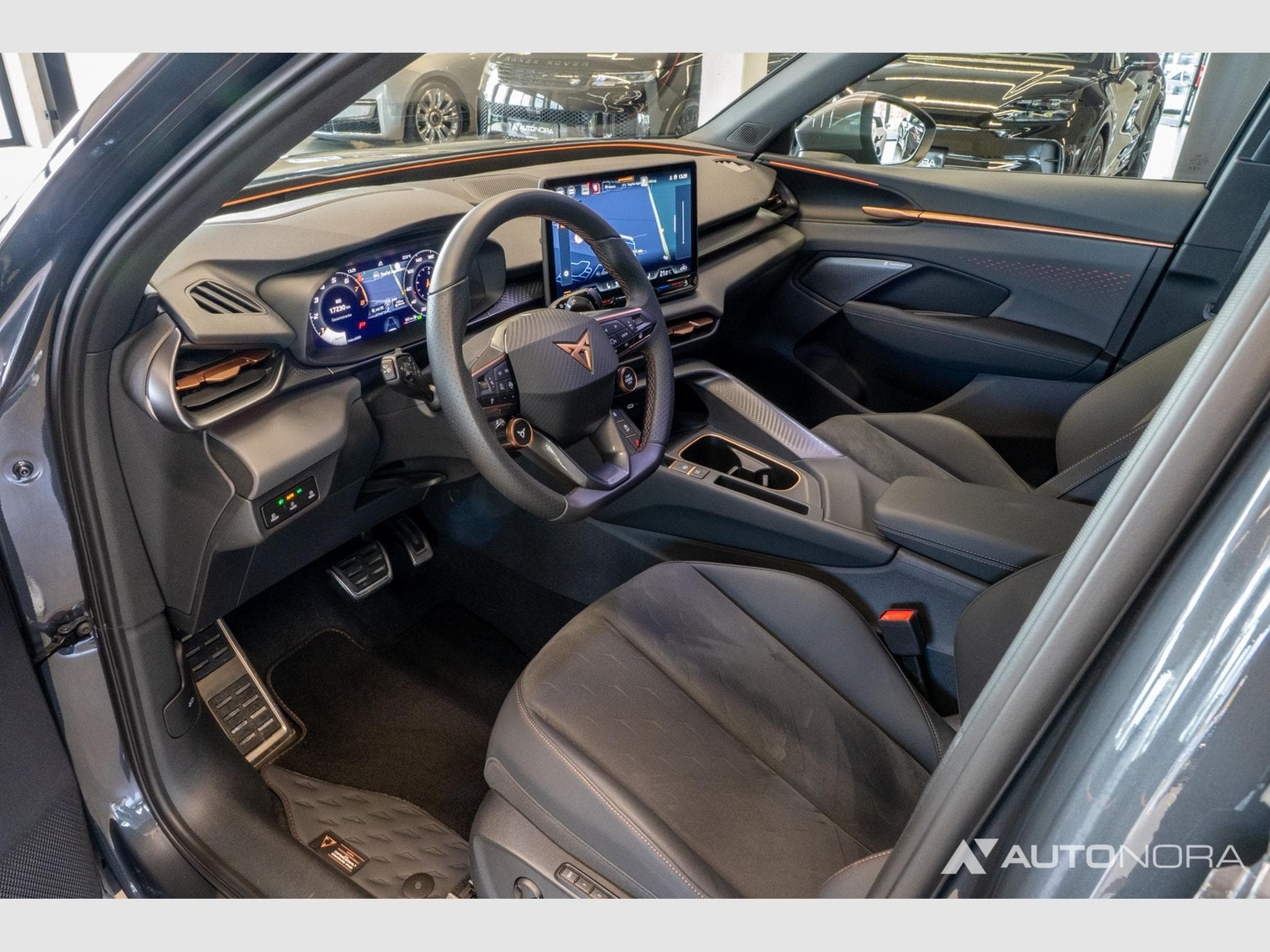 Cupra Terramar 2.0 TSI VZ 4Drive (2025) - Photo 12