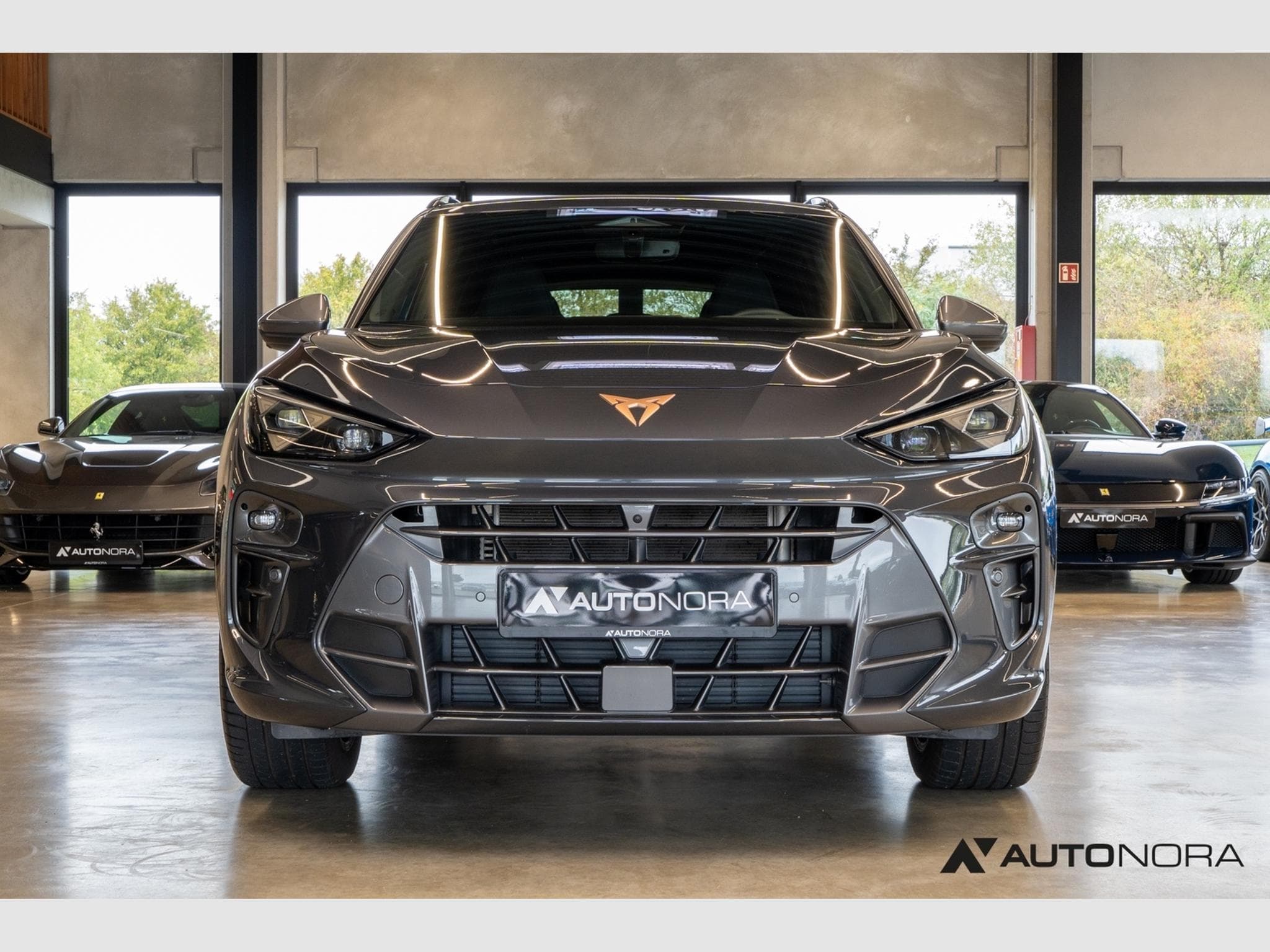Cupra Terramar 2.0 TSI VZ 4Drive (2025) - Photo 10