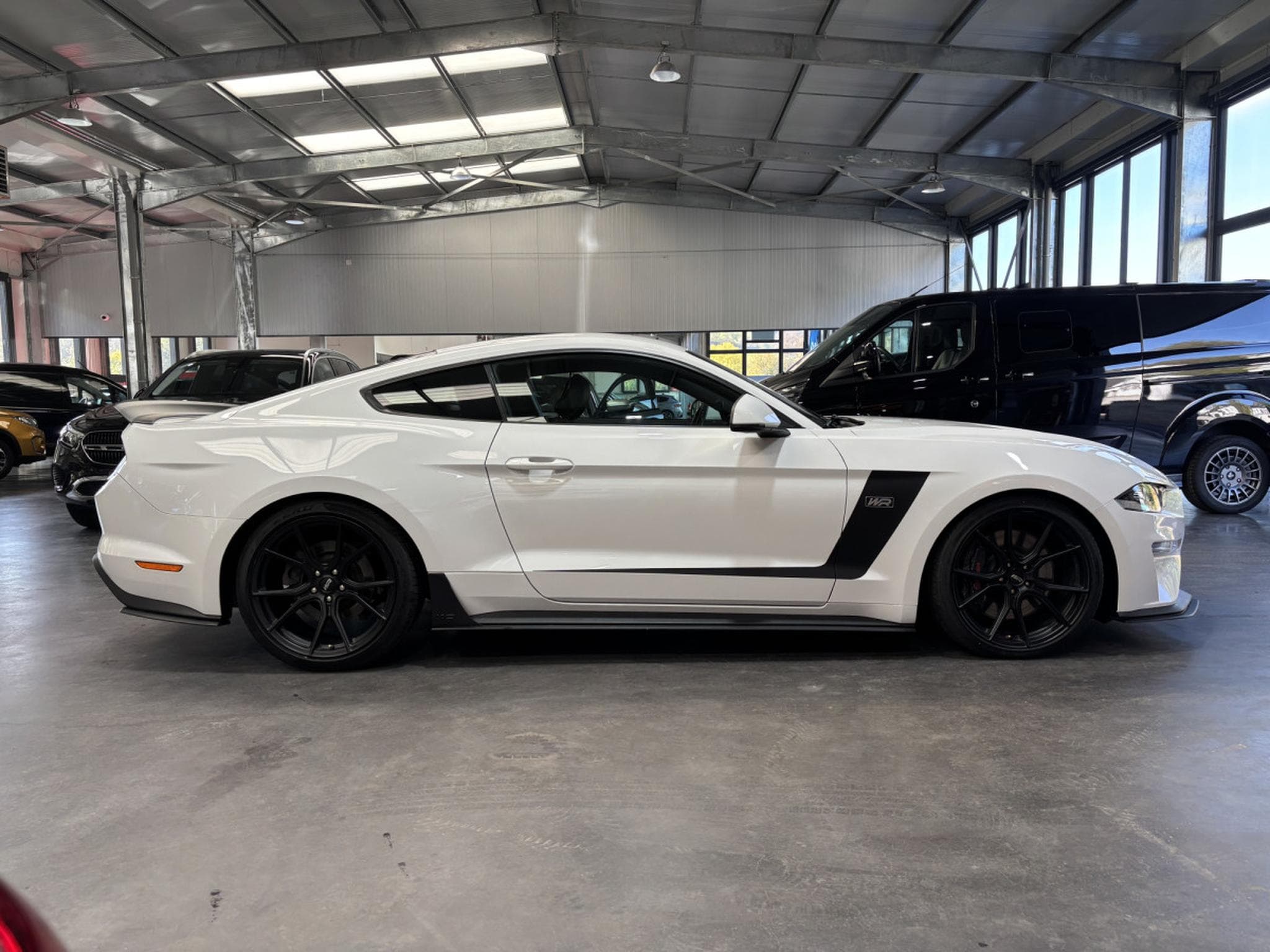 Ford Mustang 5.0 V8 WR (2020) - Photo 2