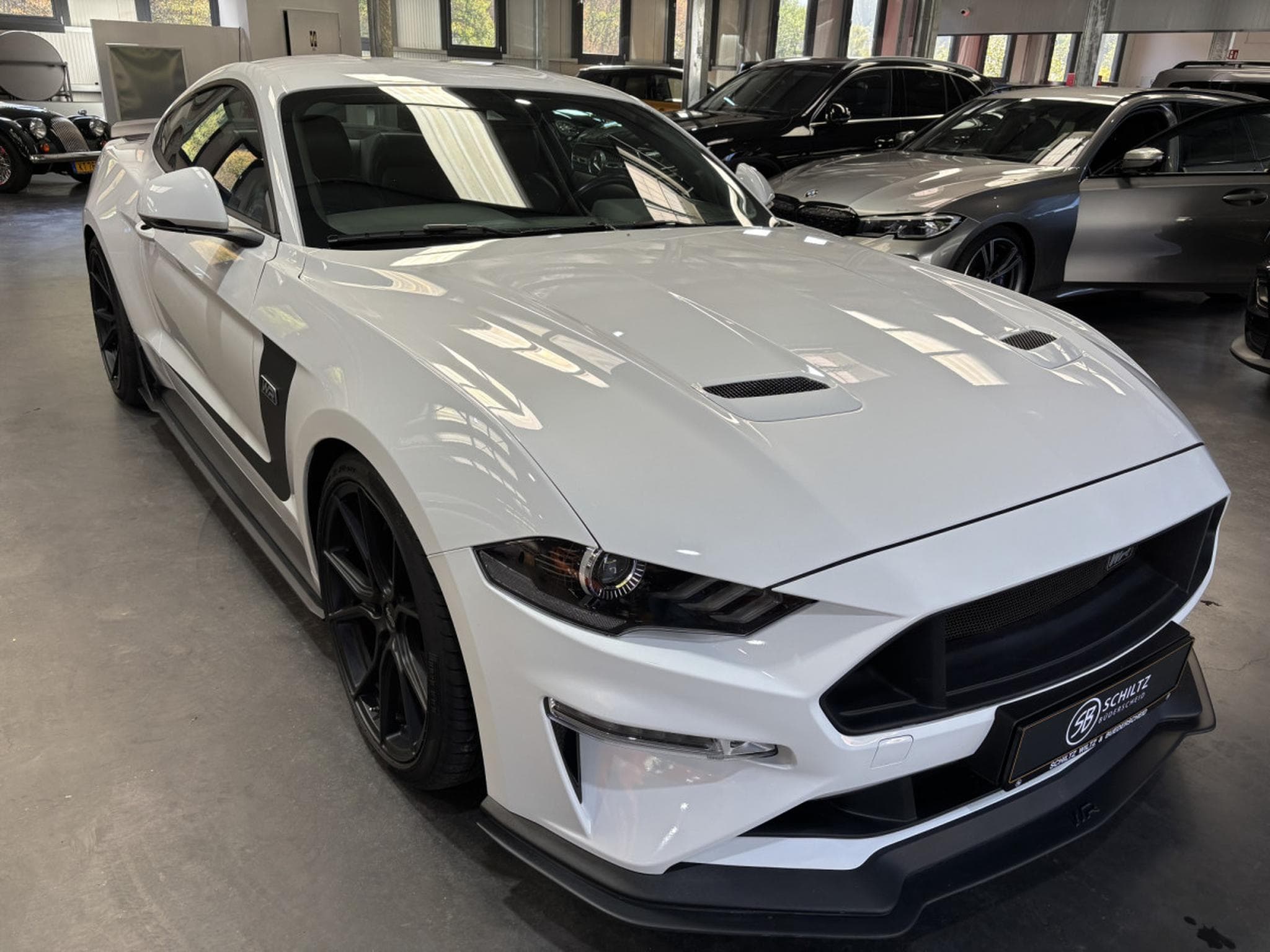 Ford Mustang 5.0 V8 WR (2020) - Photo 1