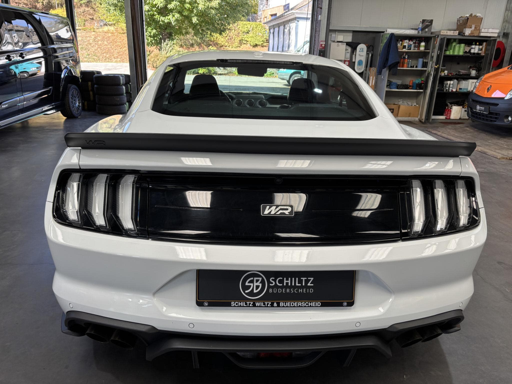 Ford Mustang 5.0 V8 WR (2020) - Photo 4