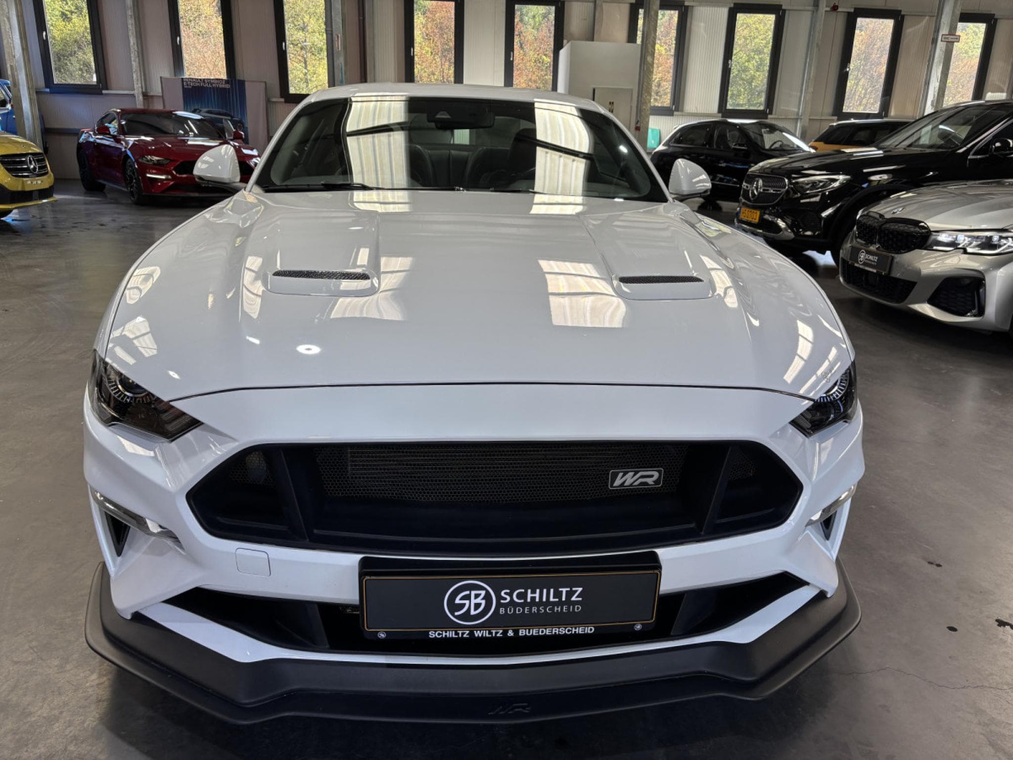Ford Mustang 5.0 V8 WR (2020) - Photo 7