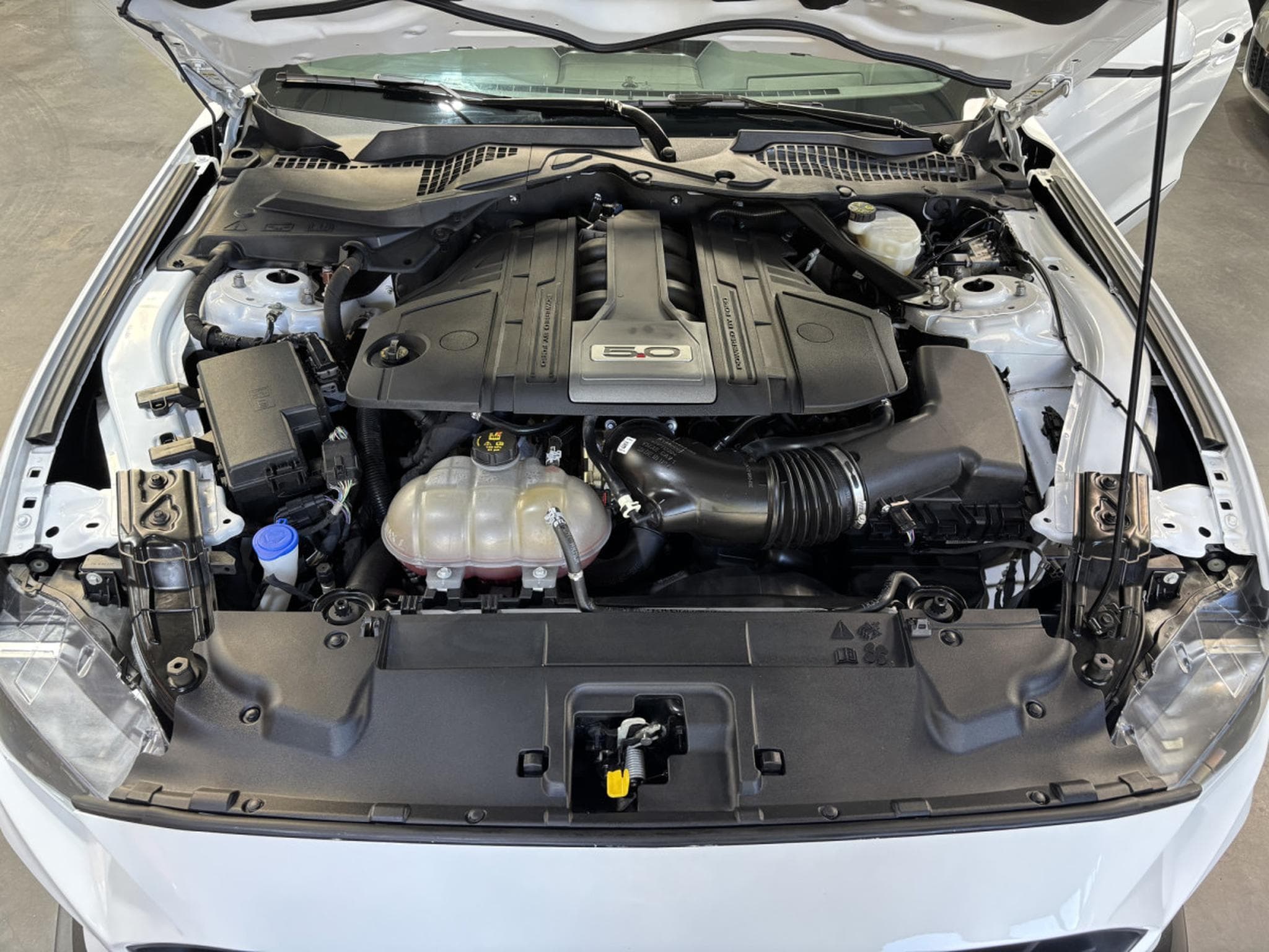 Ford Mustang 5.0 V8 WR (2020) - Photo 9