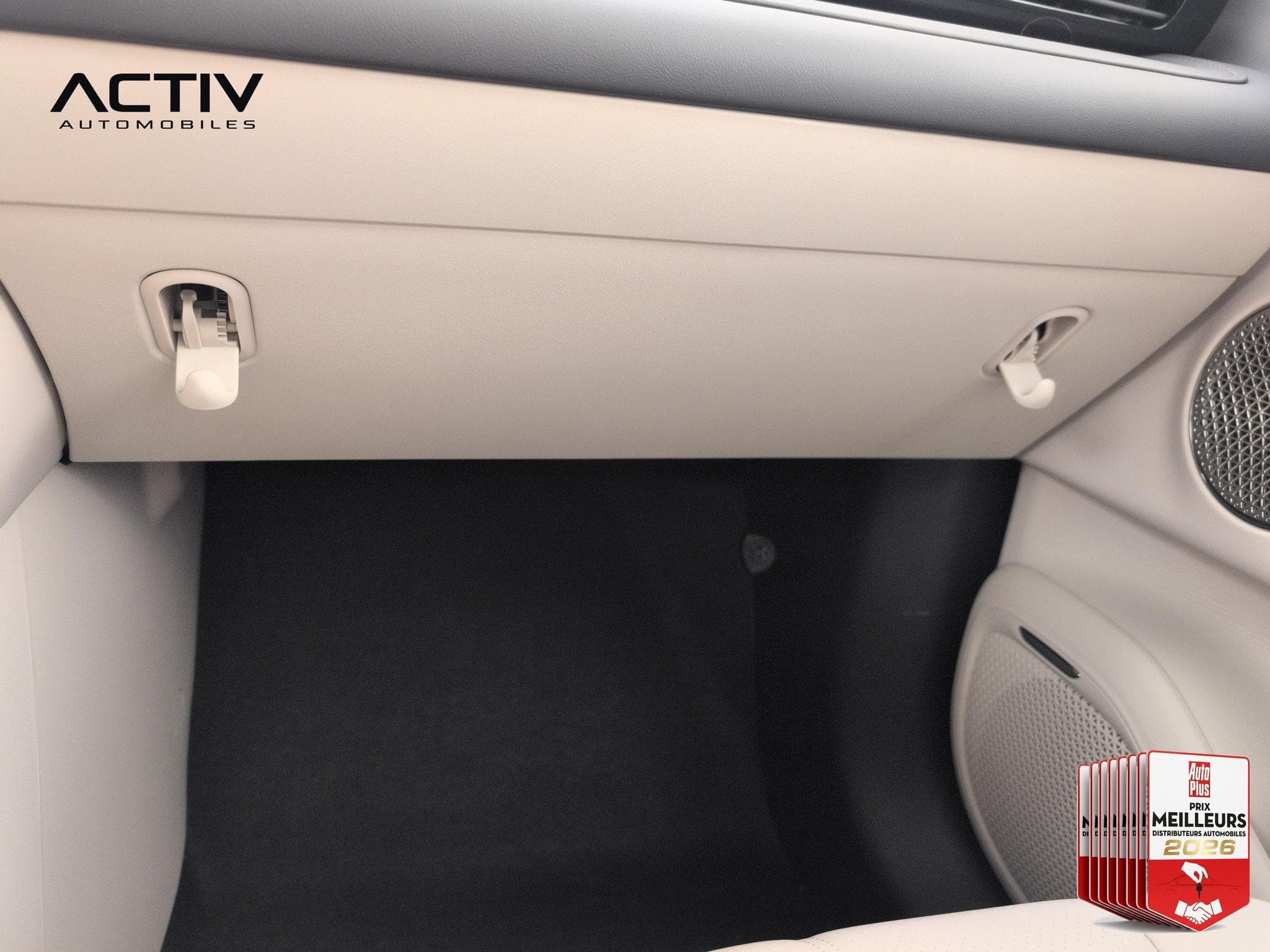 Aion V PREMIUM (2026) - Photo 30