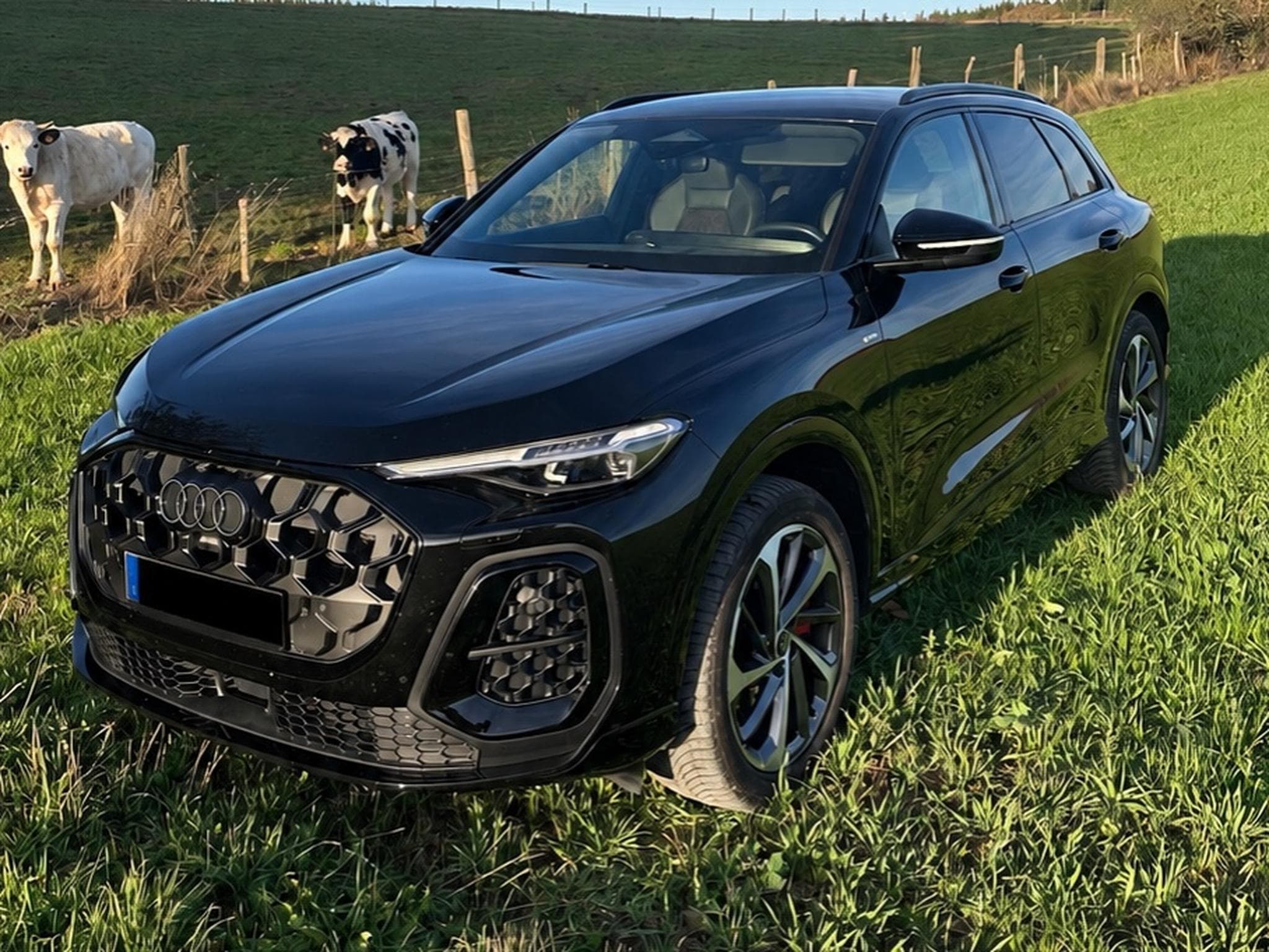 Audi Q5 S-Line (2025) - Photo 3