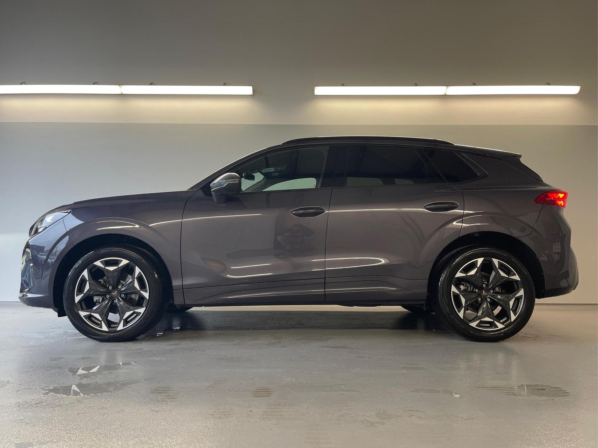 Cupra Terramar Terramar (2026) - Foto 3