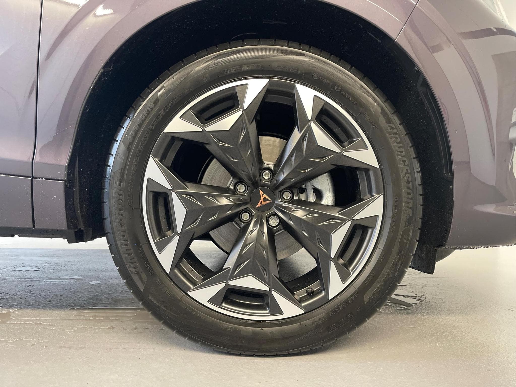 Cupra Terramar Terramar (2026) - Foto 6