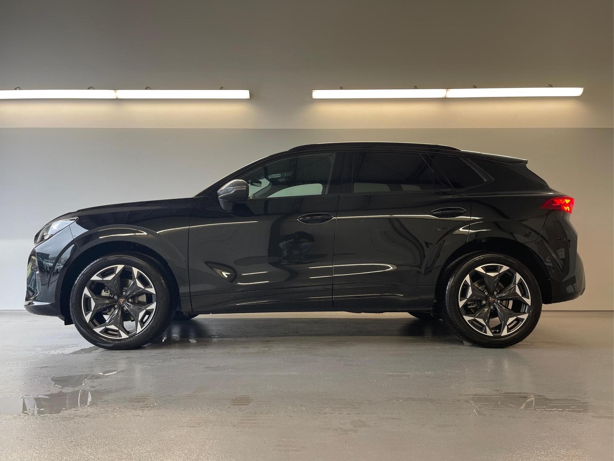 Cupra Terramar Terramar (2026) - Foto 3