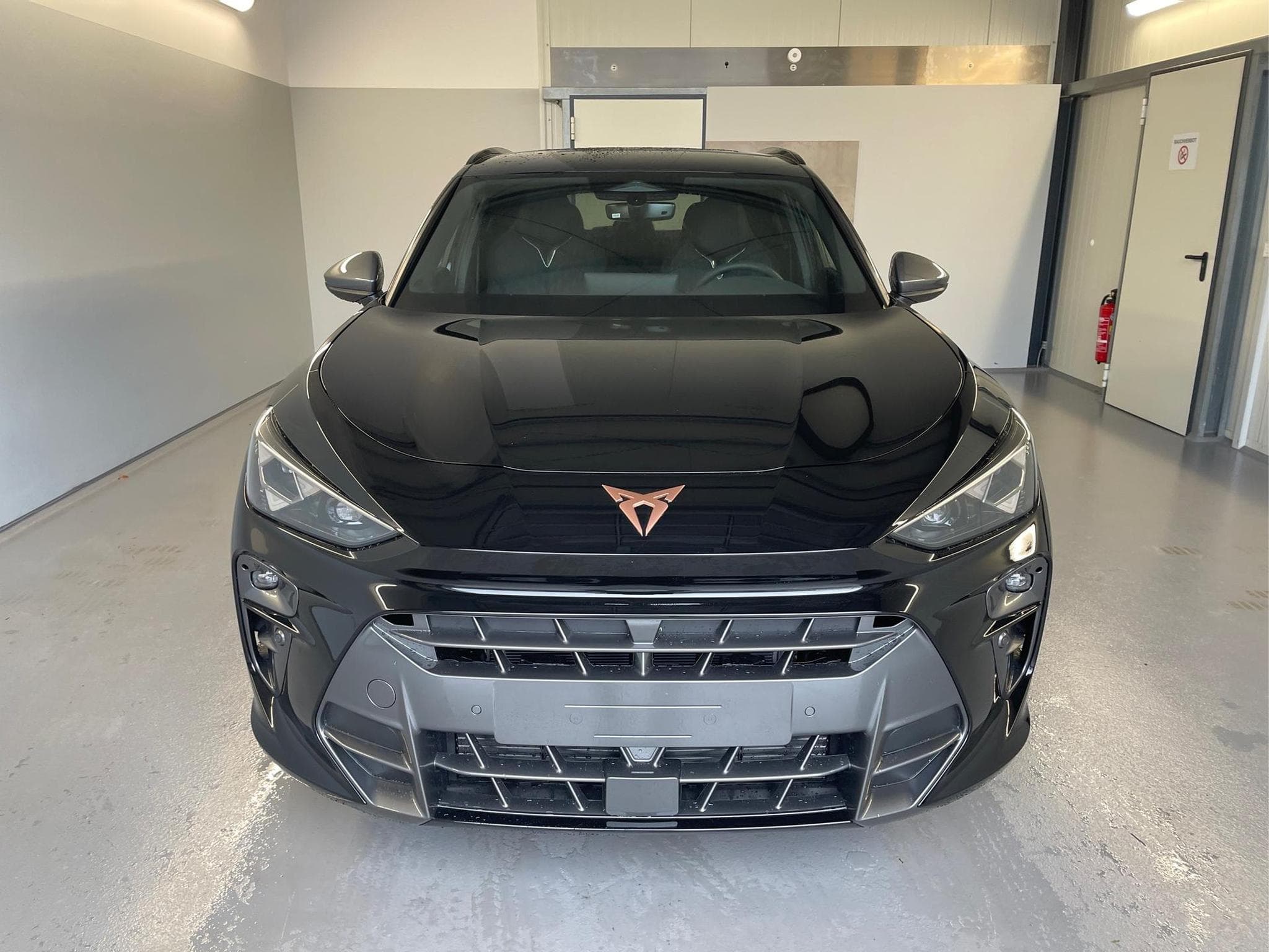 Cupra Terramar Terramar (2026) - Foto 2