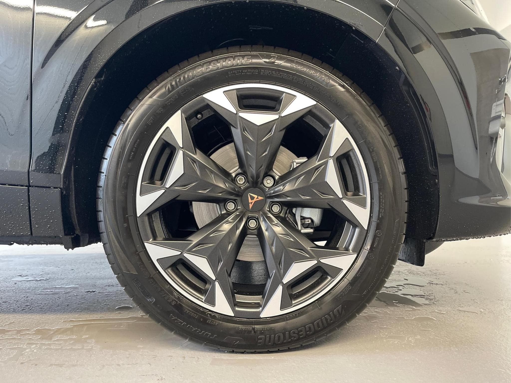 Cupra Terramar Terramar (2026) - Foto 6