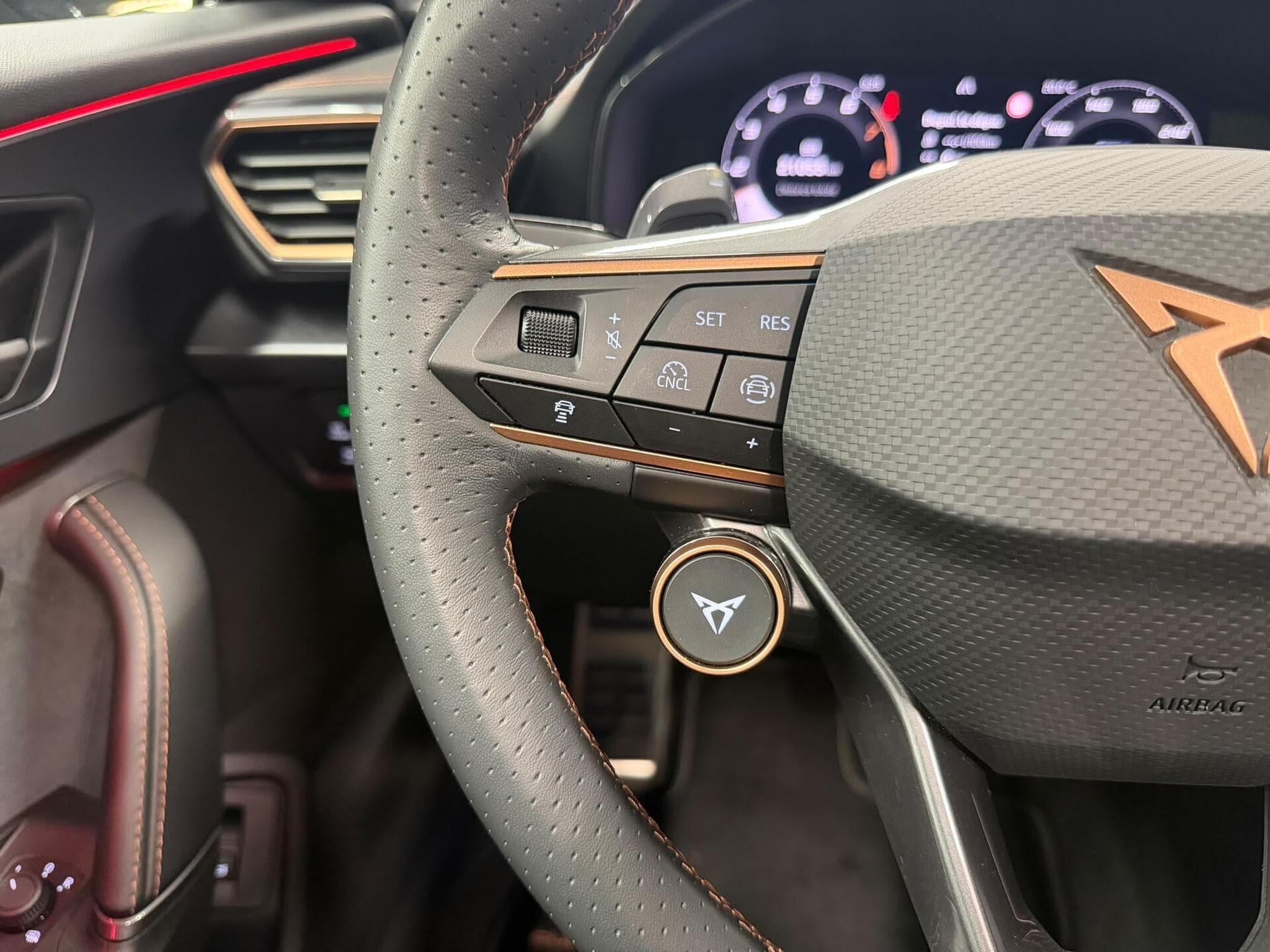 Cupra Formentor VZ 2.0 4X4 TSi 333 (2025) - Foto 12