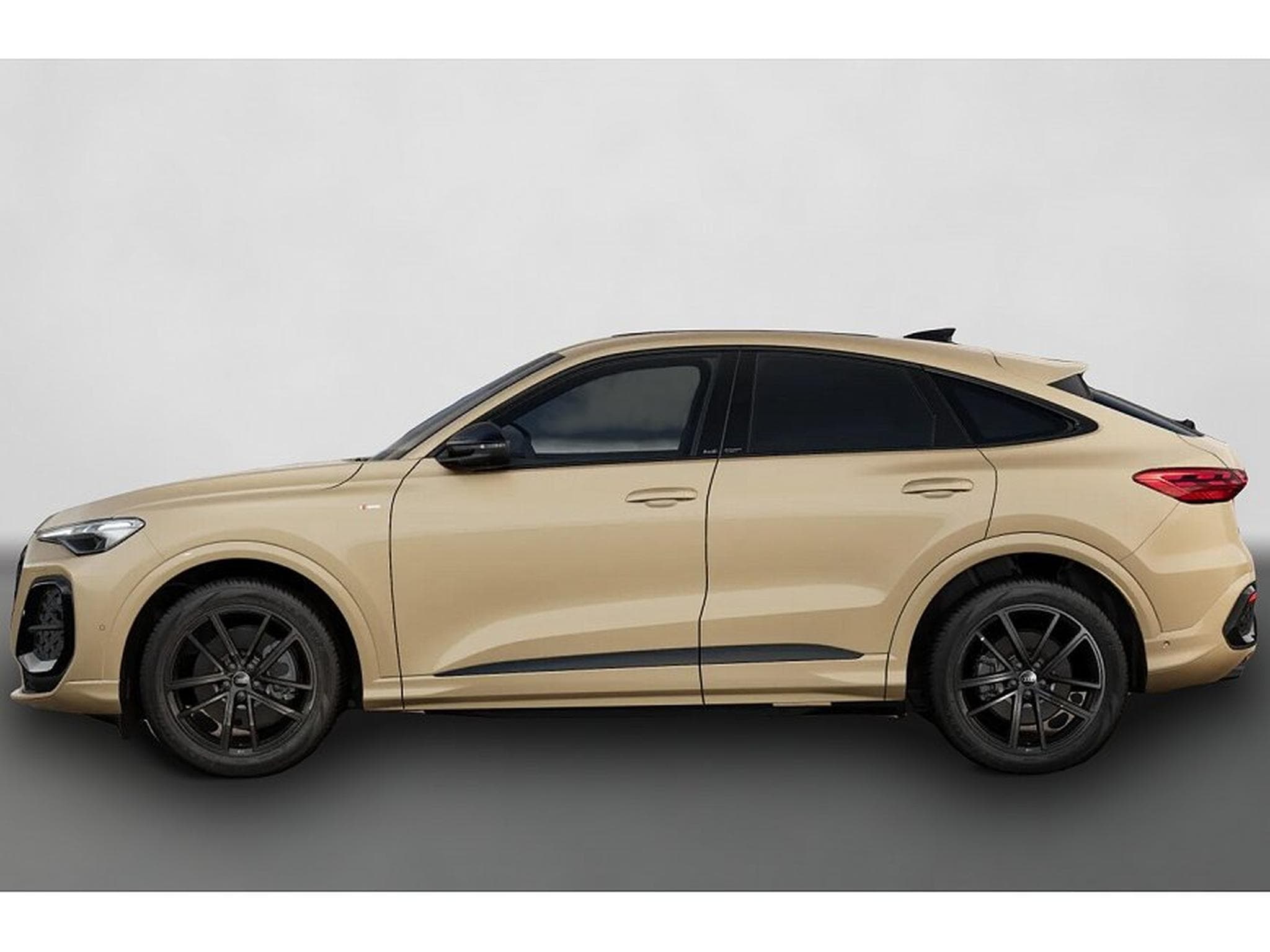 Audi Q5 (2026) - Photo 2