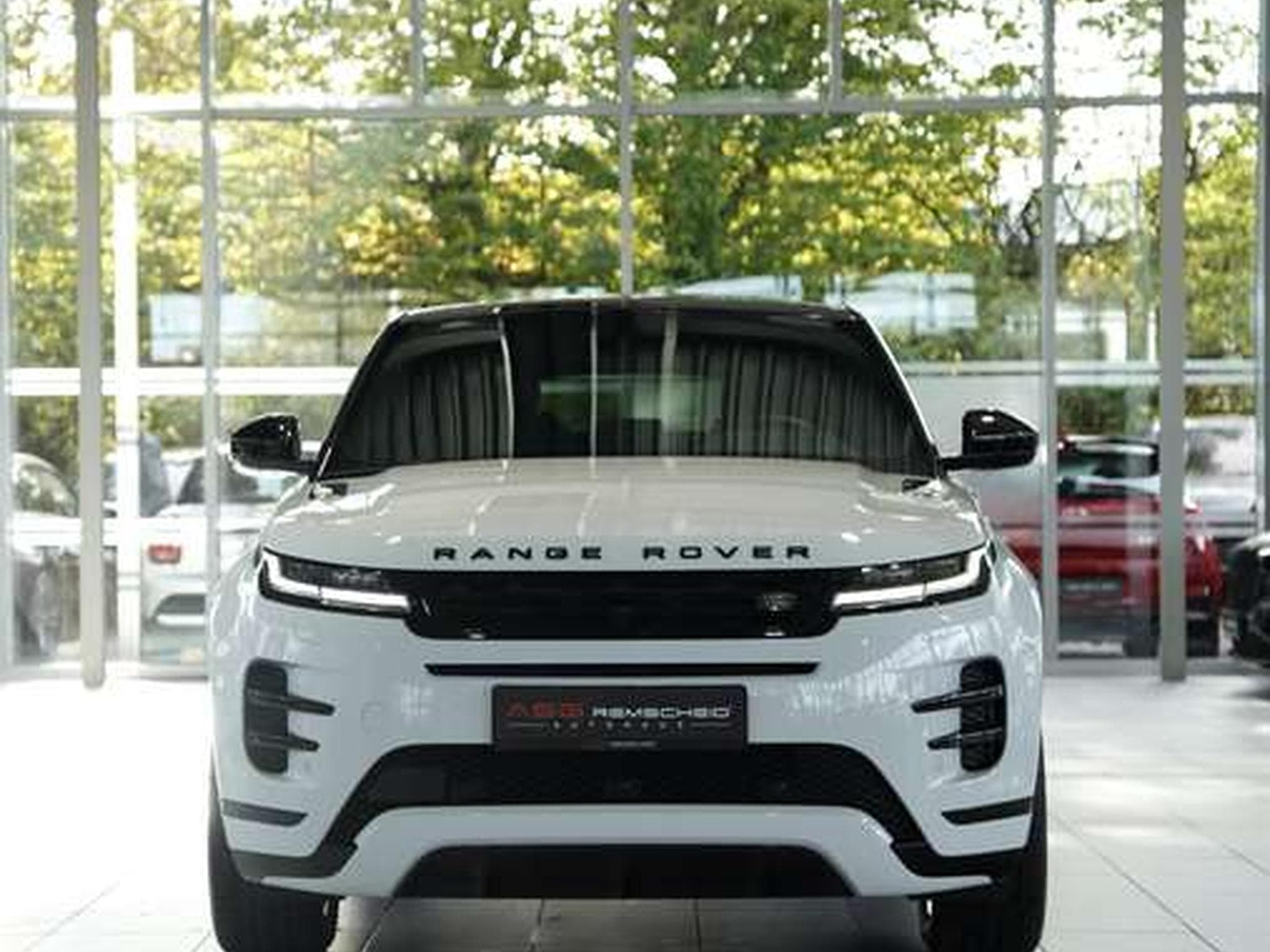 Land-Rover Range Rover Evoque Dynamic SE *2.H*Pano*SHZ-Fond (2024) - Photo 2