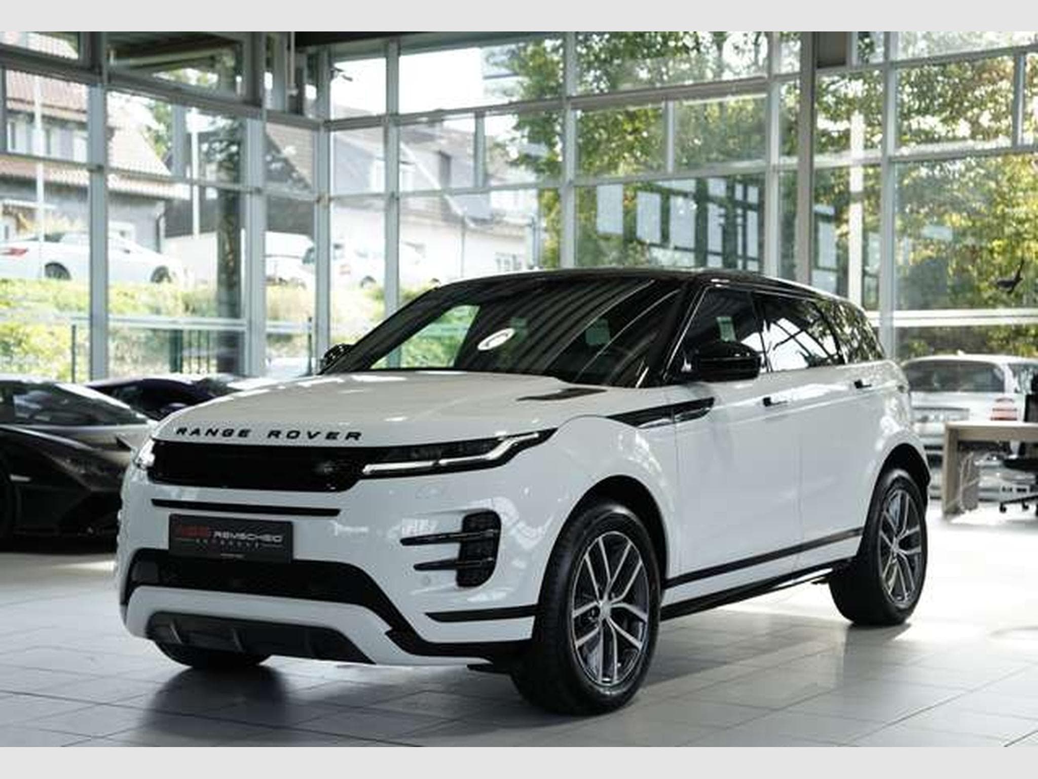 Land-Rover Range Rover Evoque Dynamic SE *2.H*Pano*SHZ-Fond (2024) - Photo 3