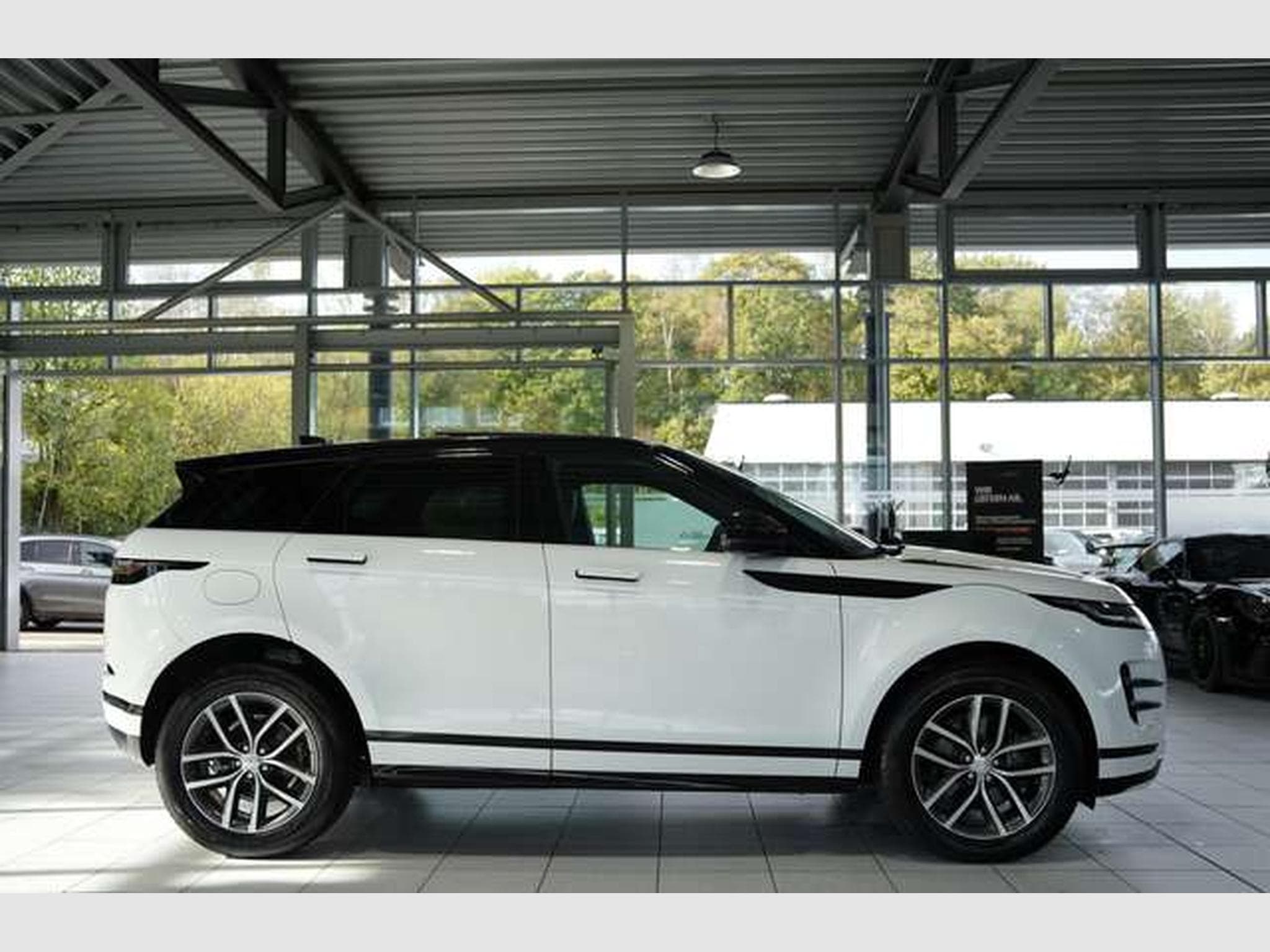 Land-Rover Range Rover Evoque Dynamic SE *2.H*Pano*SHZ-Fond (2024) - Photo 6