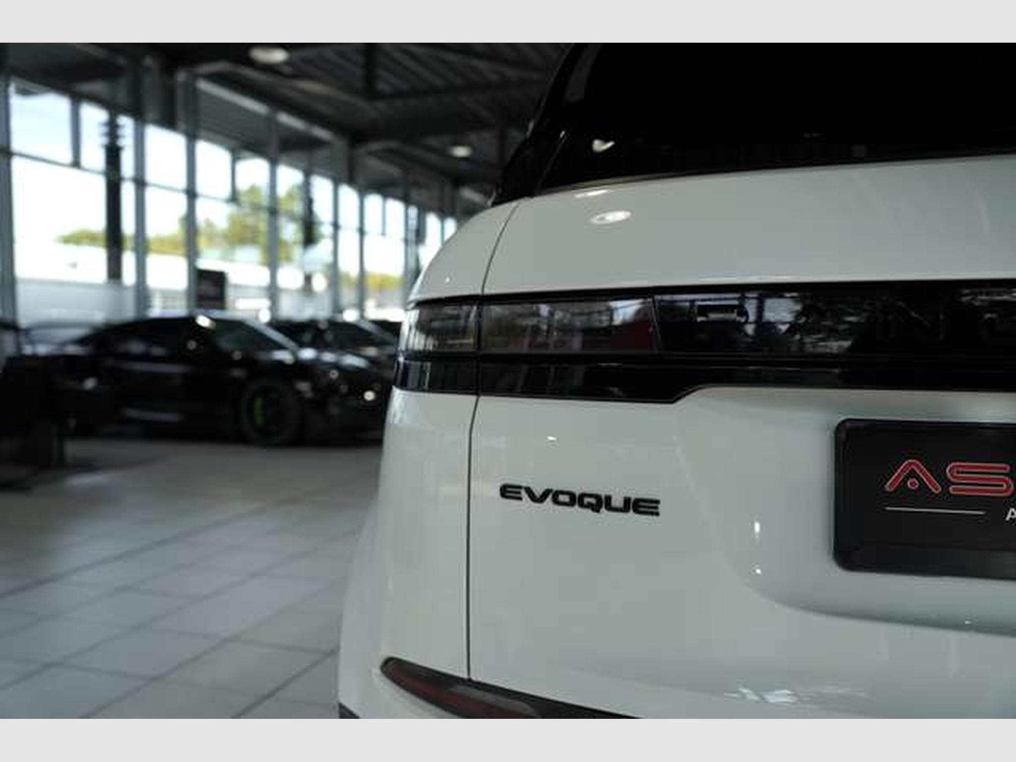 Land-Rover Range Rover Evoque Dynamic SE *2.H*Pano*SHZ-Fond (2024) - Photo 10