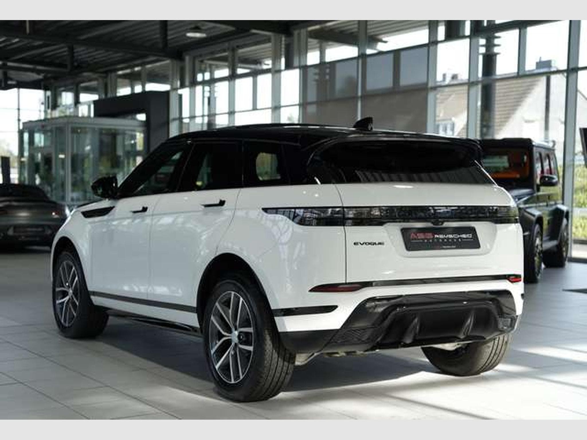 Land-Rover Range Rover Evoque Dynamic SE *2.H*Pano*SHZ-Fond (2024) - Photo 8