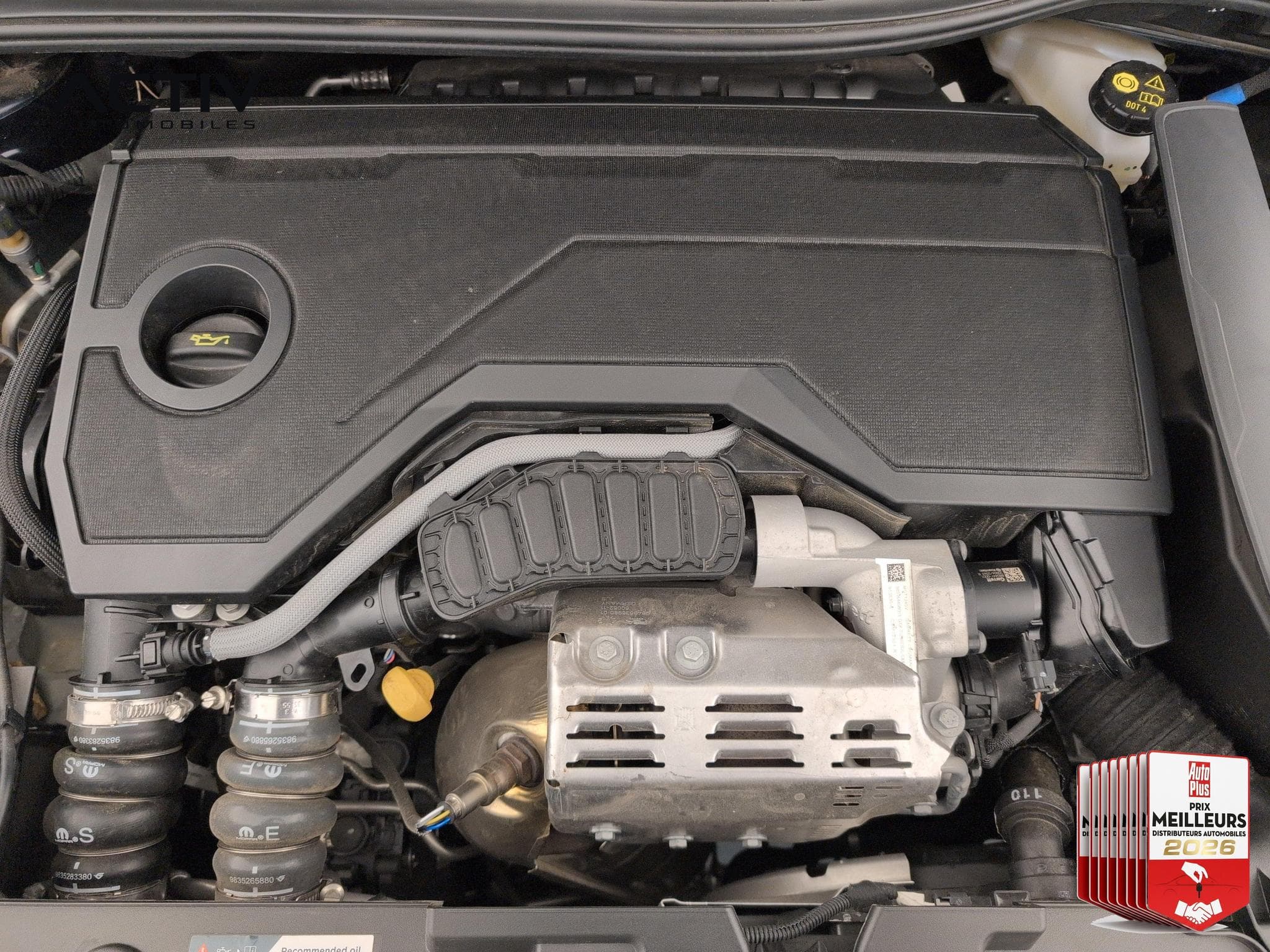 Citroën C4 Hybride 145 ch e-DCS6 Plus (2025) - Photo 22