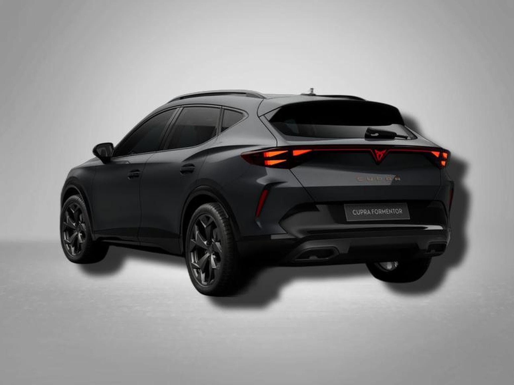 Cupra Formentor 2.0 TSI 7-Gang-DSG 4Drive (2026) - Foto 2