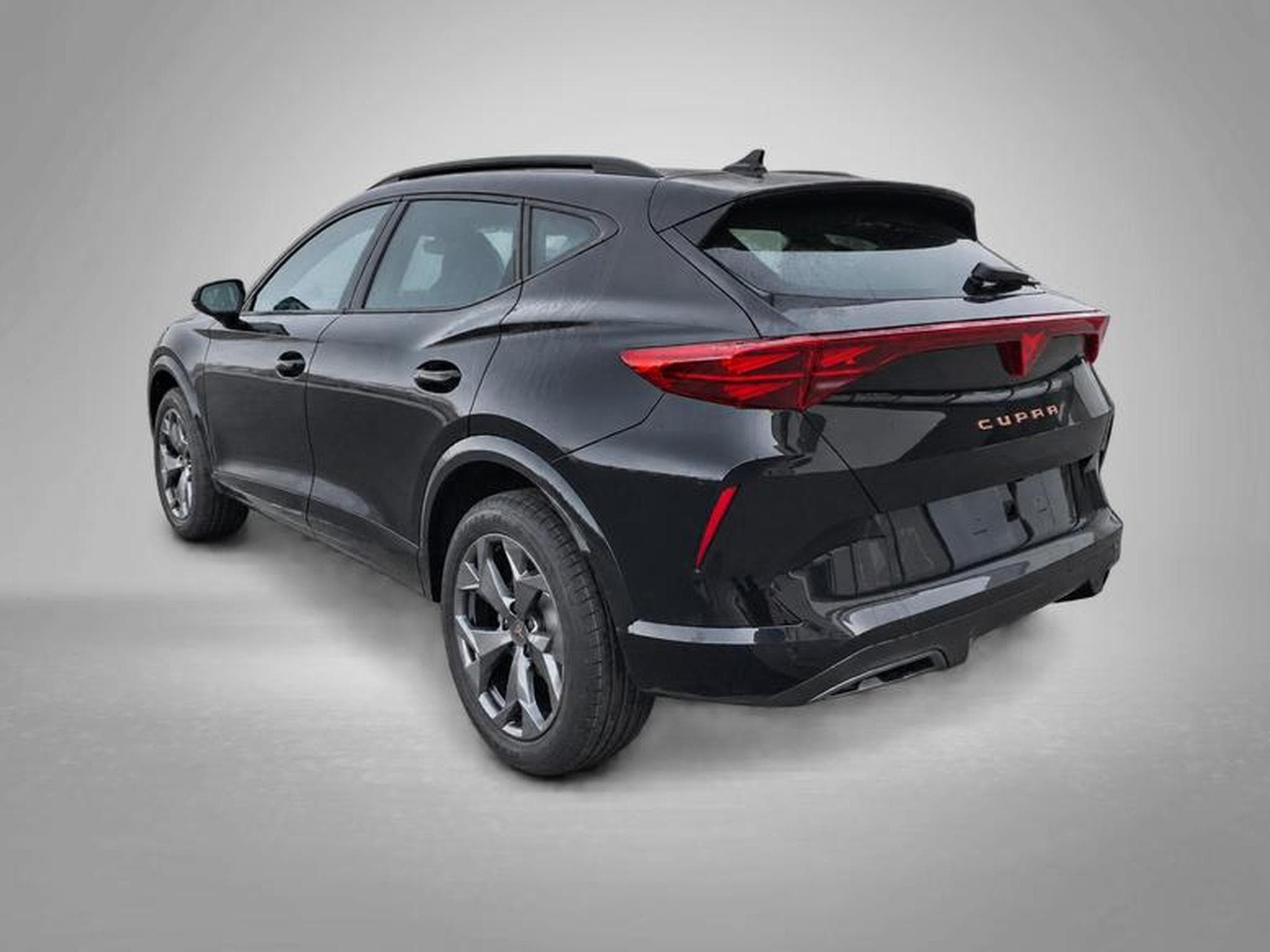 Cupra Formentor 2.0 TSI 7-Gang-DSG 4Drive (2026) - Foto 2