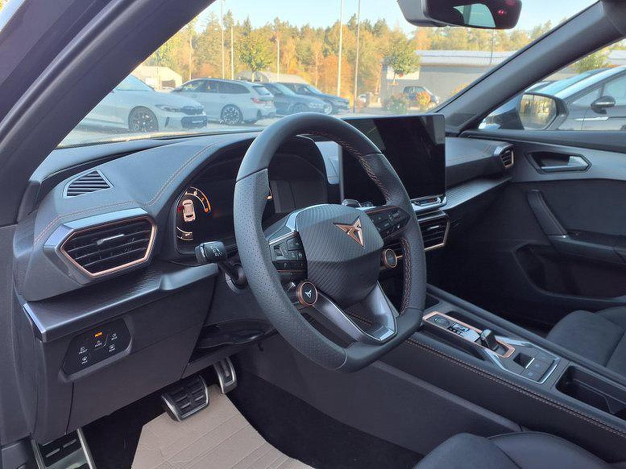 Cupra Formentor 2.0 TSI 7-Gang-DSG 4Drive (2026) - Foto 6