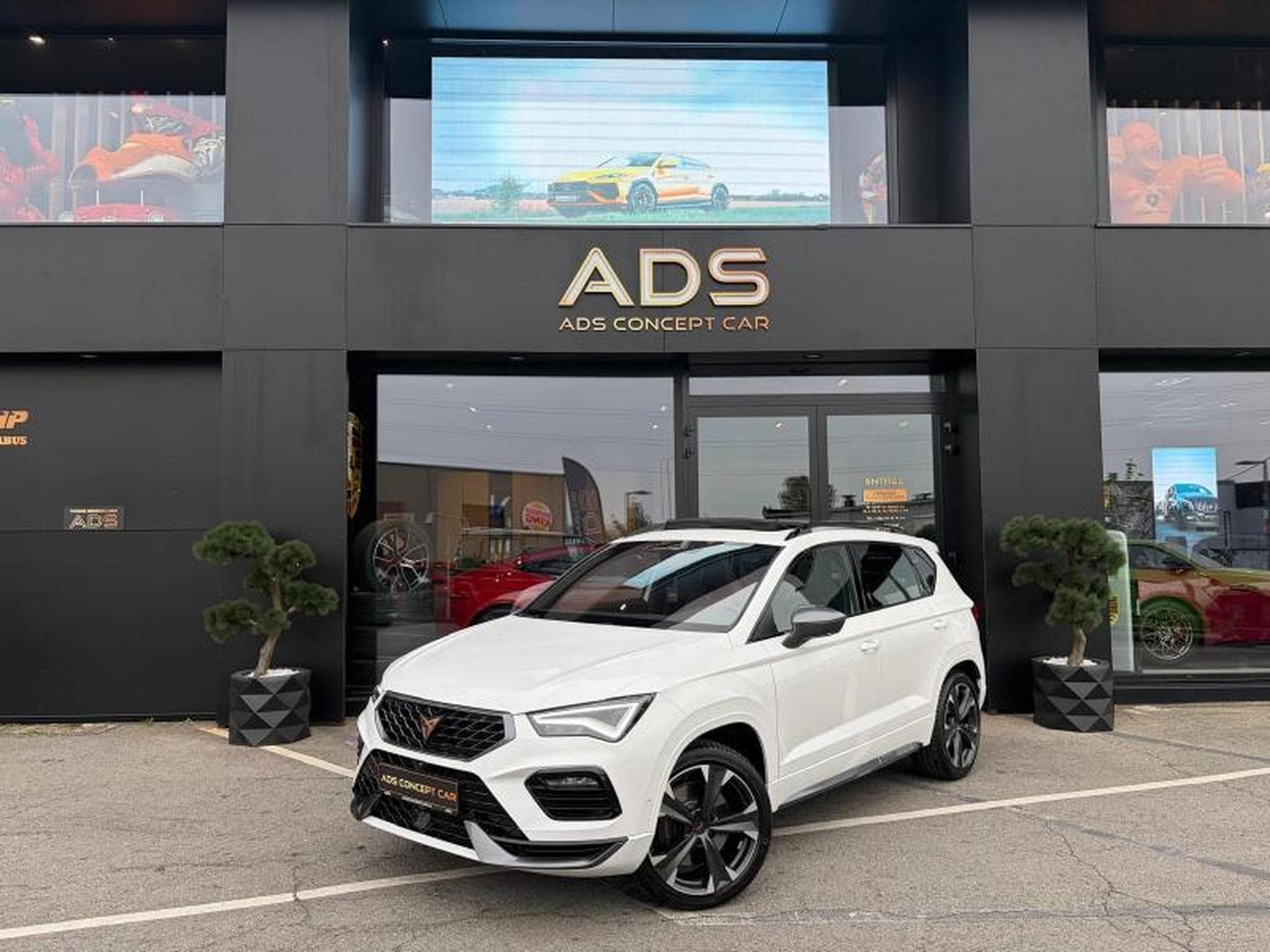 Cupra Ateca VZ 2.0 300ch/Toit Ouvrant/Camera 360/Sièges chauffants (2024) - Foto 1